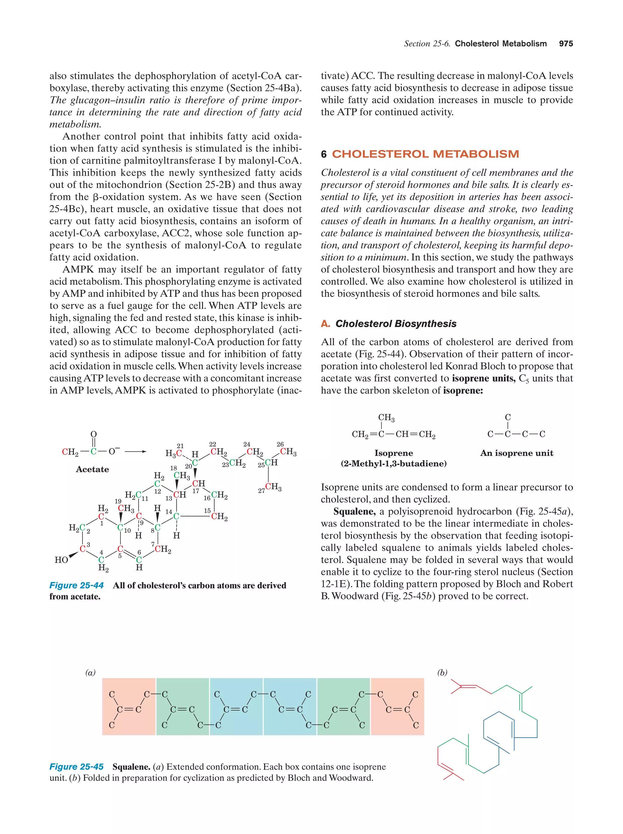 Biochemistry.4th.edition