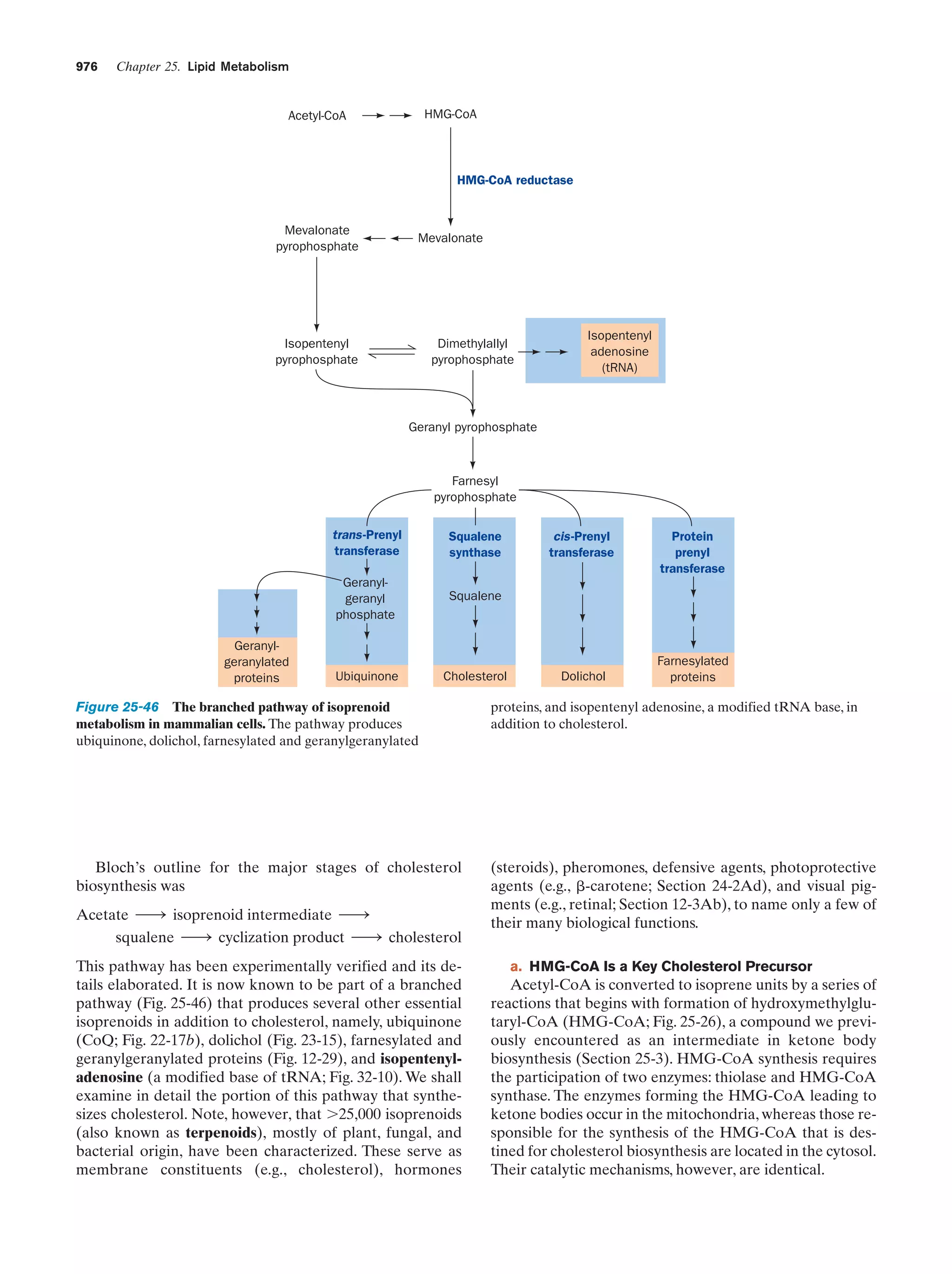 Biochemistry.4th.edition