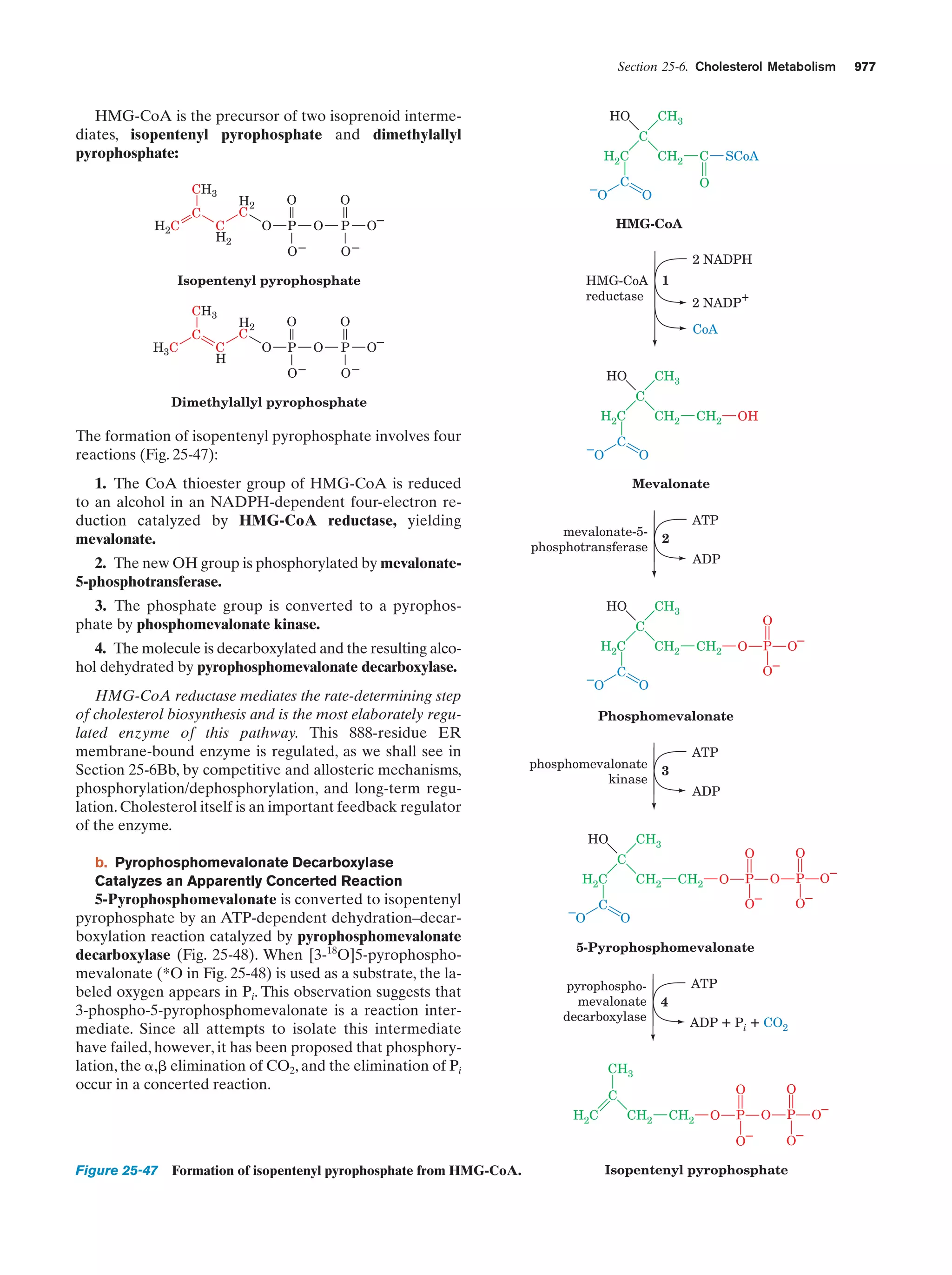 Biochemistry.4th.edition