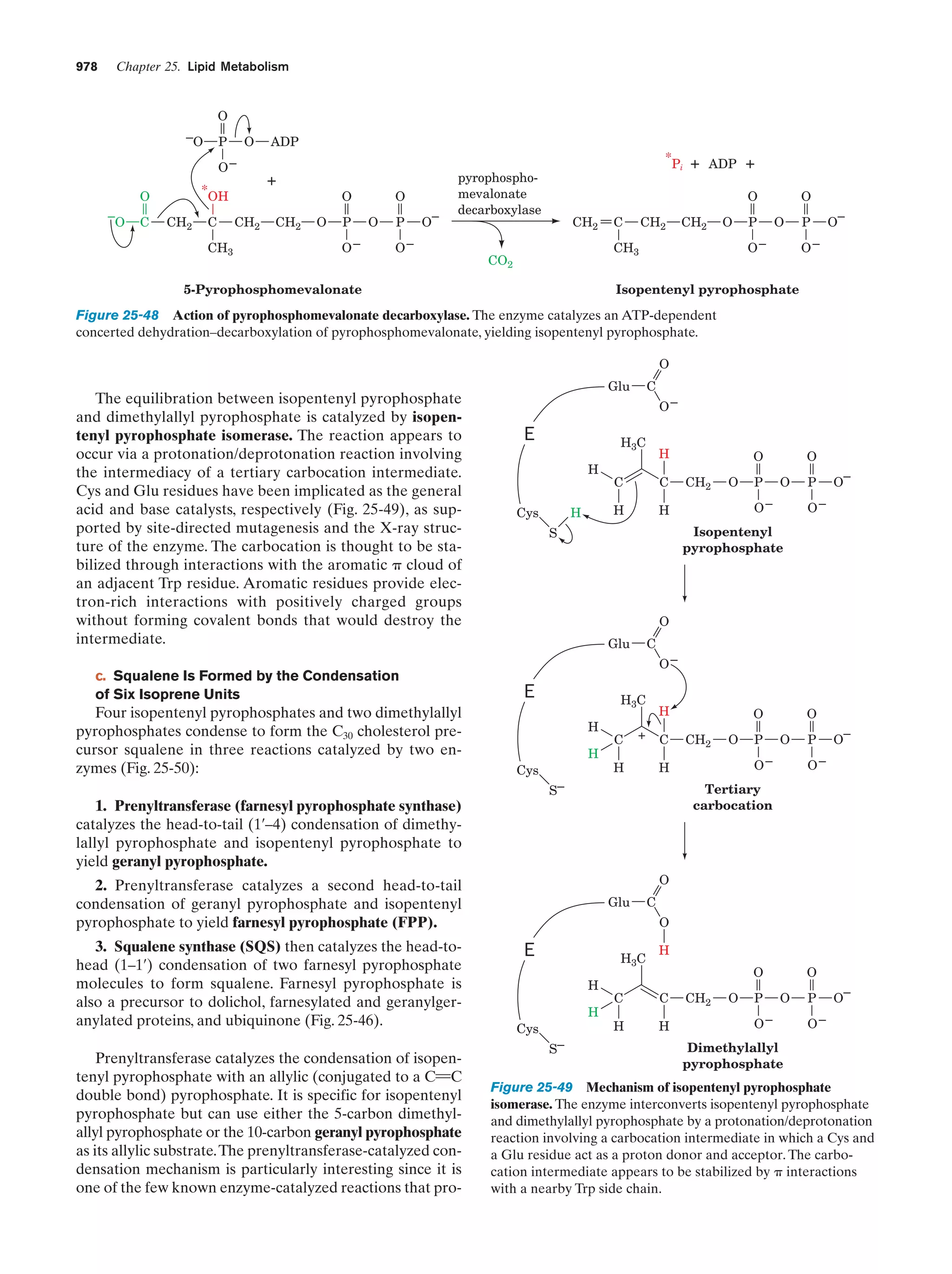 Biochemistry.4th.edition