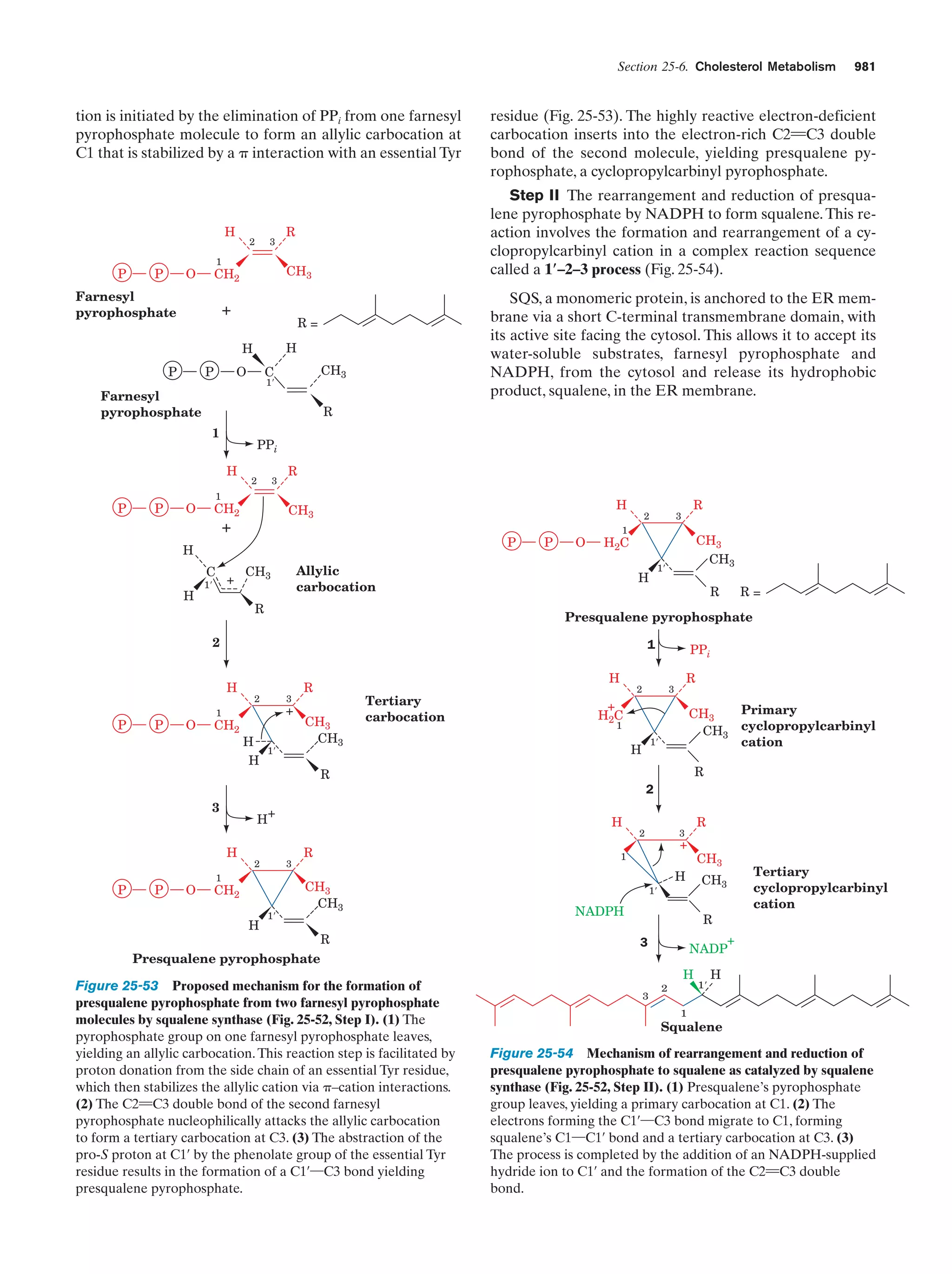 Biochemistry.4th.edition