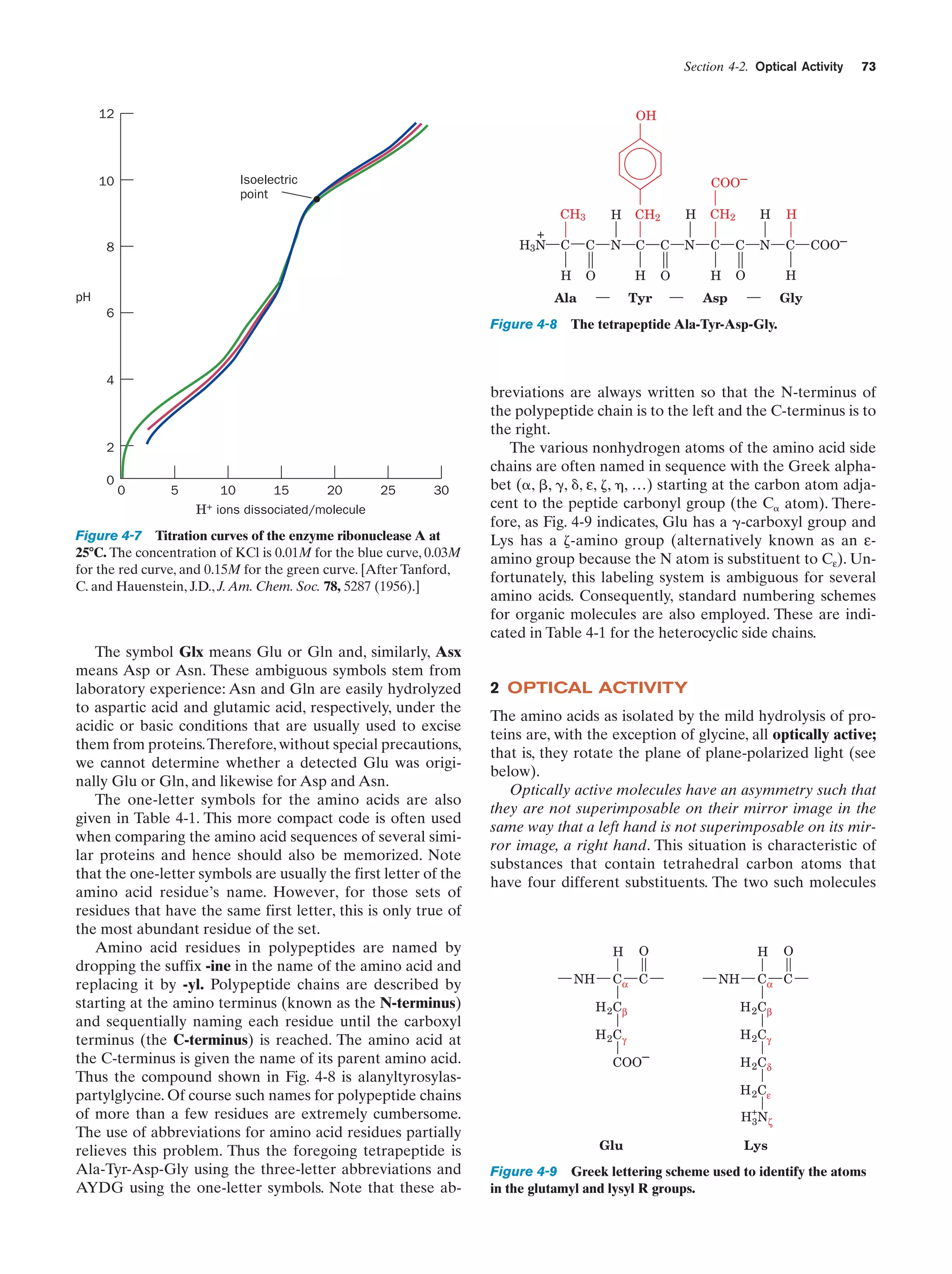 Section 4-2. Optical Activity

OH

12

COO–

Isoelectric
point

10

CH3

+
H3N

H

pH

C

CH2

N

C
H

8

C

C

H

6

H

CH2

N

C

C

H

O

O

O

Ala

Tyr

H

H

N

C

COO–

H

Asp

Gly

Figure 4-8 The tetrapeptide Ala-Tyr-Asp-Gly.

4

2
0

73

0

5

10
15
20
H+ ions dissociated/molecule

25

30

Figure 4-7 Titration curves of the enzyme ribonuclease A at
25؇C. The concentration of KCl is 0.01M for the blue curve, 0.03M
for the red curve, and 0.15M for the green curve. [After Tanford,
C. and Hauenstein, J.D., J. Am. Chem. Soc. 78, 5287 (1956).]

The symbol Glx means Glu or Gln and, similarly, Asx
means Asp or Asn. These ambiguous symbols stem from
laboratory experience: Asn and Gln are easily hydrolyzed
to aspartic acid and glutamic acid, respectively, under the
acidic or basic conditions that are usually used to excise
them from proteins.Therefore, without special precautions,
we cannot determine whether a detected Glu was originally Glu or Gln, and likewise for Asp and Asn.
The one-letter symbols for the amino acids are also
given in Table 4-1. This more compact code is often used
when comparing the amino acid sequences of several similar proteins and hence should also be memorized. Note
that the one-letter symbols are usually the first letter of the
amino acid residue’s name. However, for those sets of
residues that have the same first letter, this is only true of
the most abundant residue of the set.
Amino acid residues in polypeptides are named by
dropping the suffix -ine in the name of the amino acid and
replacing it by -yl. Polypeptide chains are described by
starting at the amino terminus (known as the N-terminus)
and sequentially naming each residue until the carboxyl
terminus (the C-terminus) is reached. The amino acid at
the C-terminus is given the name of its parent amino acid.
Thus the compound shown in Fig. 4-8 is alanyltyrosylaspartylglycine. Of course such names for polypeptide chains
of more than a few residues are extremely cumbersome.
The use of abbreviations for amino acid residues partially
relieves this problem. Thus the foregoing tetrapeptide is
Ala-Tyr-Asp-Gly using the three-letter abbreviations and
AYDG using the one-letter symbols. Note that these ab-

breviations are always written so that the N-terminus of
the polypeptide chain is to the left and the C-terminus is to
the right.
The various nonhydrogen atoms of the amino acid side
chains are often named in sequence with the Greek alphabet (␣, ␤, ␥, ␦, ε, ␨, ␩, …) starting at the carbon atom adjacent to the peptide carbonyl group (the C␣ atom). Therefore, as Fig. 4-9 indicates, Glu has a ␥-carboxyl group and
Lys has a ␨-amino group (alternatively known as an εamino group because the N atom is substituent to Cε). Unfortunately, this labeling system is ambiguous for several
amino acids. Consequently, standard numbering schemes
for organic molecules are also employed. These are indicated in Table 4-1 for the heterocyclic side chains.

2 OPTICAL ACTIVITY
The amino acids as isolated by the mild hydrolysis of proteins are, with the exception of glycine, all optically active;
that is, they rotate the plane of plane-polarized light (see
below).
Optically active molecules have an asymmetry such that
they are not superimposable on their mirror image in the
same way that a left hand is not superimposable on its mirror image, a right hand. This situation is characteristic of
substances that contain tetrahedral carbon atoms that
have four different substituents. The two such molecules

H
NH

O

Cα C

H
NH

O

Cα C

H 2Cβ

H 2Cβ

H 2Cγ

H 2Cγ

–
COO

H 2Cδ
H 2Cε
+

H 3 Nζ
Glu

Lys

Figure 4-9 Greek lettering scheme used to identify the atoms
in the glutamyl and lysyl R groups.

 