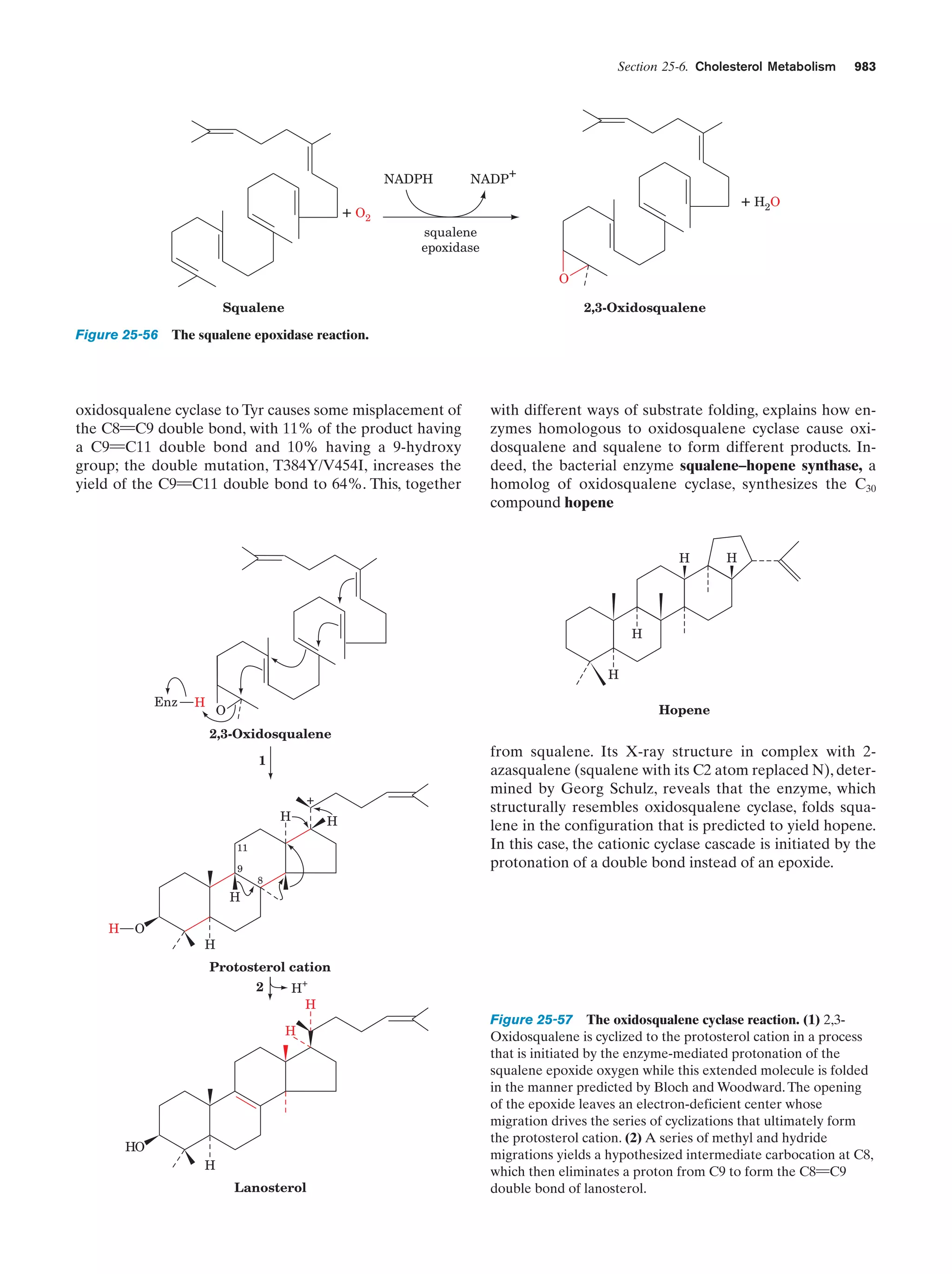 Biochemistry.4th.edition