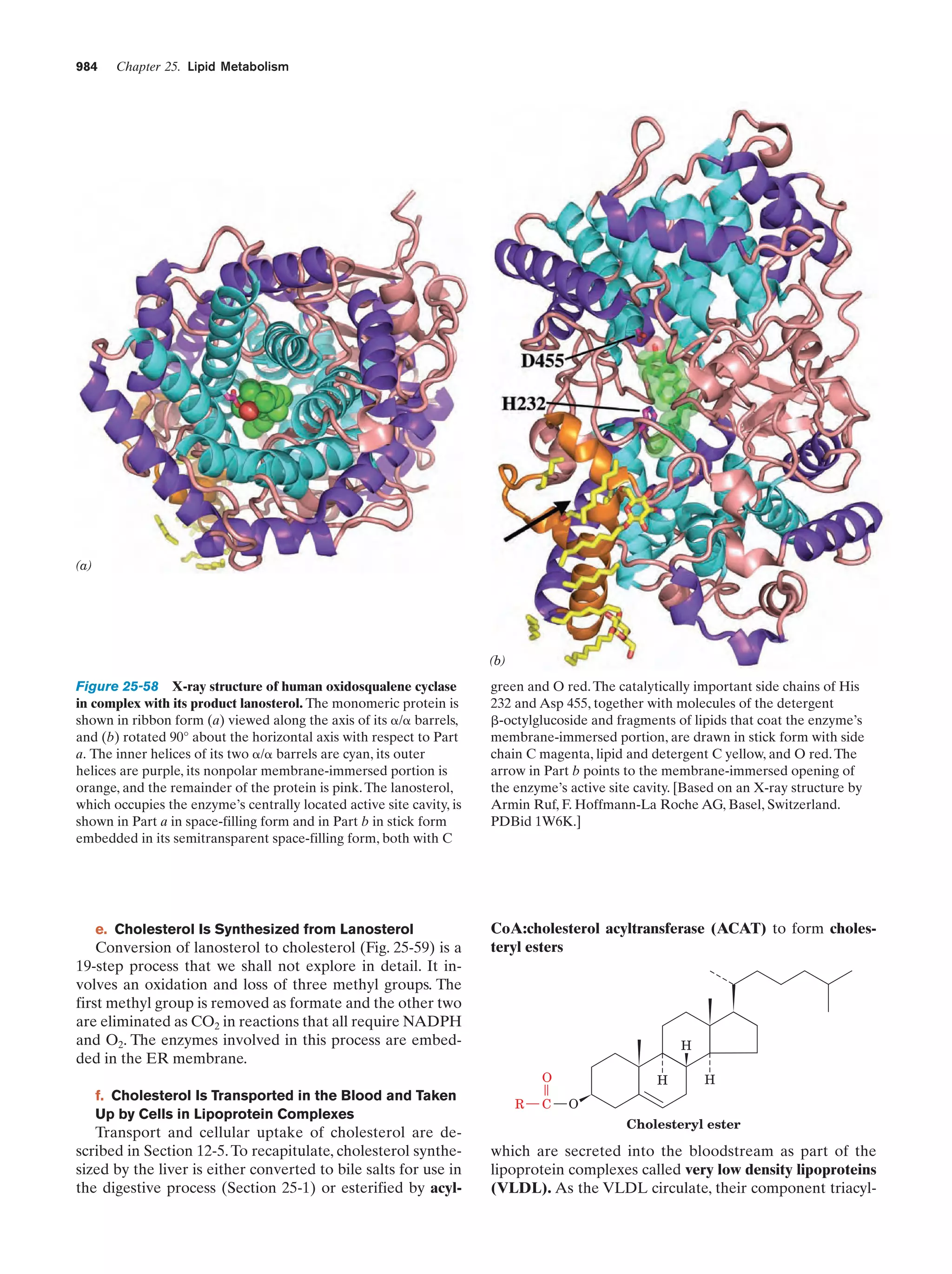 Biochemistry.4th.edition