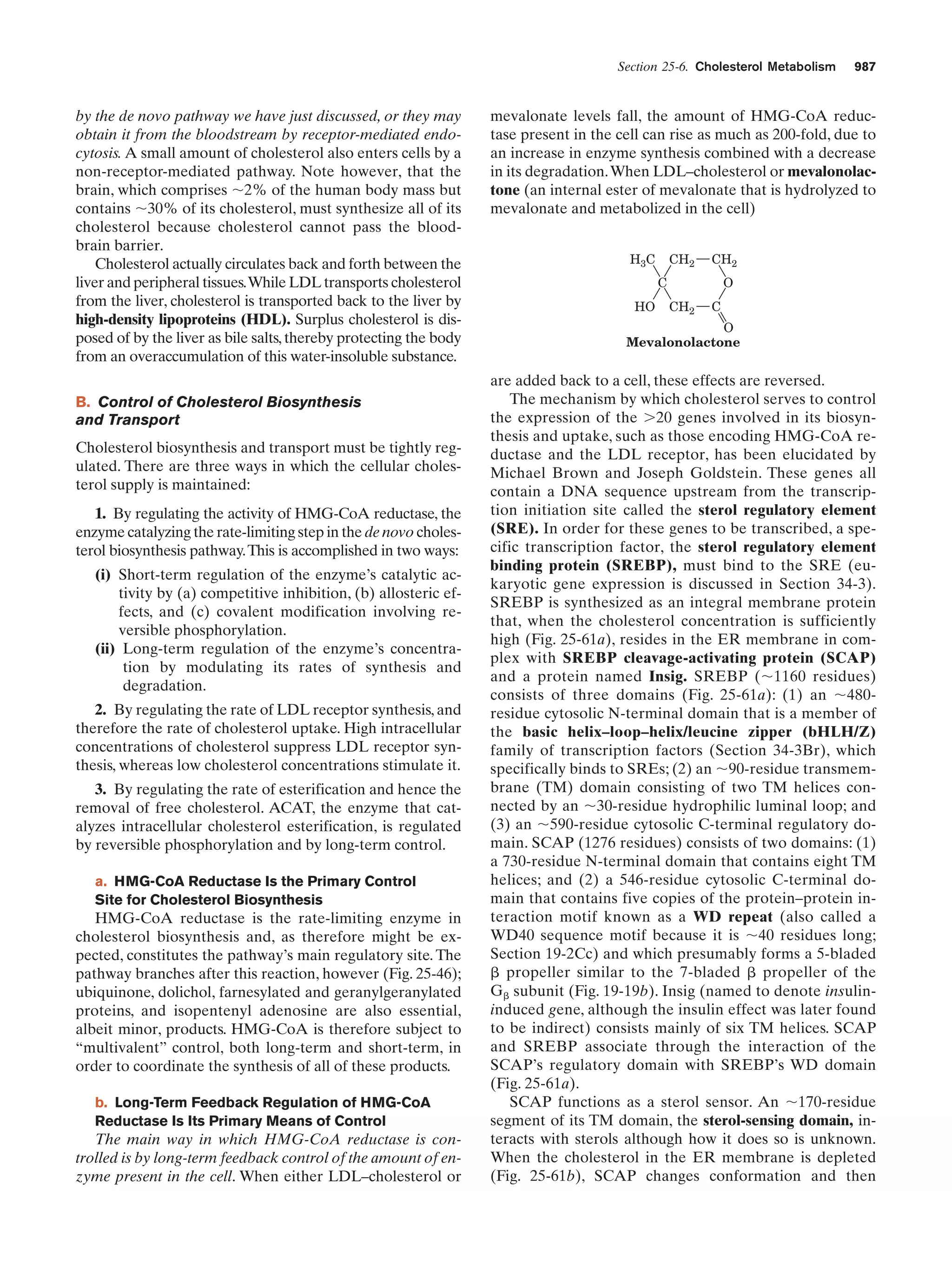Biochemistry.4th.edition