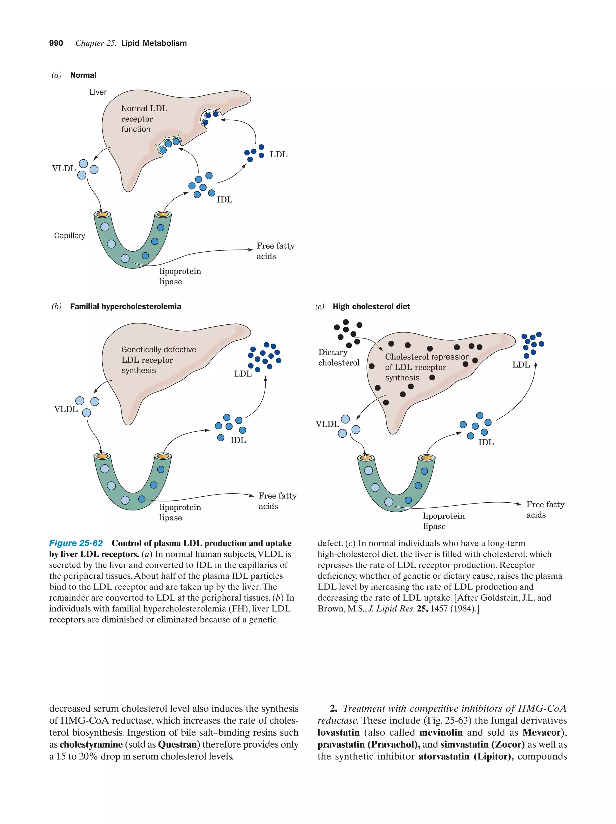 Biochemistry.4th.edition