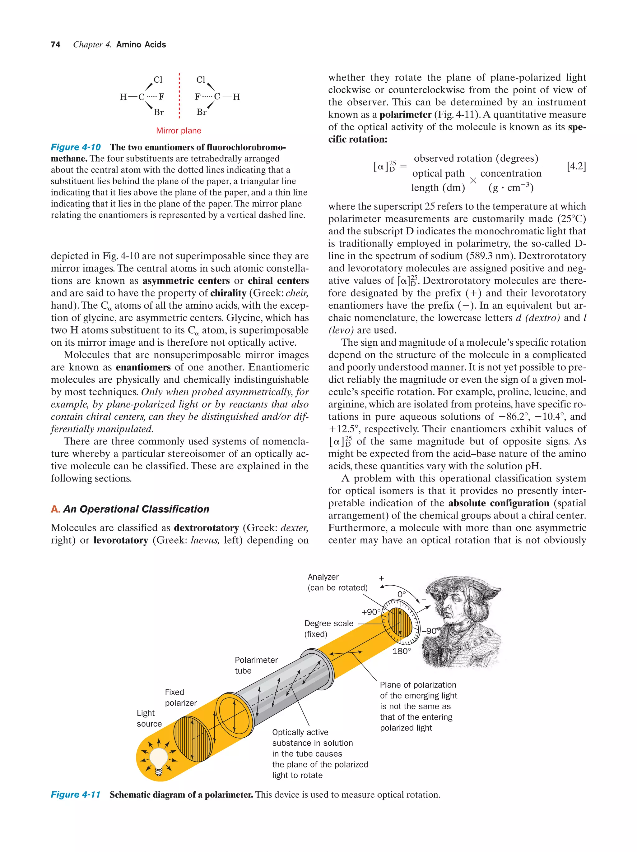 74

Chapter 4. Amino Acids

Cl
H

C

F
Br

whether they rotate the plane of plane-polarized light
clockwise or counterclockwise from the point of view of
the observer. This can be determined by an instrument
known as a polarimeter (Fig. 4-11). A quantitative measure
of the optical activity of the molecule is known as its specific rotation:

Cl
F

C

H

Br

Mirror plane

Figure 4-10 The two enantiomers of fluorochlorobromomethane. The four substituents are tetrahedrally arranged
about the central atom with the dotted lines indicating that a
substituent lies behind the plane of the paper, a triangular line
indicating that it lies above the plane of the paper, and a thin line
indicating that it lies in the plane of the paper. The mirror plane
relating the enantiomers is represented by a vertical dashed line.

[␣ ] 25 ϭ
D

depicted in Fig. 4-10 are not superimposable since they are
mirror images. The central atoms in such atomic constellations are known as asymmetric centers or chiral centers
and are said to have the property of chirality (Greek: cheir,
hand). The C␣ atoms of all the amino acids, with the exception of glycine, are asymmetric centers. Glycine, which has
two H atoms substituent to its C␣ atom, is superimposable
on its mirror image and is therefore not optically active.
Molecules that are nonsuperimposable mirror images
are known as enantiomers of one another. Enantiomeric
molecules are physically and chemically indistinguishable
by most techniques. Only when probed asymmetrically, for
example, by plane-polarized light or by reactants that also
contain chiral centers, can they be distinguished and/or differentially manipulated.
There are three commonly used systems of nomenclature whereby a particular stereoisomer of an optically active molecule can be classified. These are explained in the
following sections.
A. An Operational Classification
Molecules are classified as dextrorotatory (Greek: dexter,
right) or levorotatory (Greek: laevus, left) depending on

observed rotation (degrees)
optical path
concentration
ϫ
length (dm)
(g ؒ cmϪ3 )

[4.2]

where the superscript 25 refers to the temperature at which
polarimeter measurements are customarily made (25ЊC)
and the subscript D indicates the monochromatic light that
is traditionally employed in polarimetry, the so-called Dline in the spectrum of sodium (589.3 nm). Dextrorotatory
and levorotatory molecules are assigned positive and neg25
ative values of [␣]D . Dextrorotatory molecules are therefore designated by the prefix (ϩ) and their levorotatory
enantiomers have the prefix (Ϫ). In an equivalent but archaic nomenclature, the lowercase letters d (dextro) and l
(levo) are used.
The sign and magnitude of a molecule’s specific rotation
depend on the structure of the molecule in a complicated
and poorly understood manner. It is not yet possible to predict reliably the magnitude or even the sign of a given molecule’s specific rotation. For example, proline, leucine, and
arginine, which are isolated from proteins, have specific rotations in pure aqueous solutions of Ϫ86.2Њ, Ϫ10.4Њ, and
ϩ12.5Њ, respectively. Their enantiomers exhibit values of
[ ␣ ] 25 of the same magnitude but of opposite signs. As
D
might be expected from the acid–base nature of the amino
acids, these quantities vary with the solution pH.
A problem with this operational classification system
for optical isomers is that it provides no presently interpretable indication of the absolute configuration (spatial
arrangement) of the chemical groups about a chiral center.
Furthermore, a molecule with more than one asymmetric
center may have an optical rotation that is not obviously

Analyzer
(can be rotated)

+
0°

–

+90°
Degree scale
(fixed)

–90°
180°

Polarimeter
tube
Fixed
polarizer
Light
source
Optically active
substance in solution
in the tube causes
the plane of the polarized
light to rotate

Plane of polarization
of the emerging light
is not the same as
that of the entering
polarized light

Figure 4-11 Schematic diagram of a polarimeter. This device is used to measure optical rotation.

 