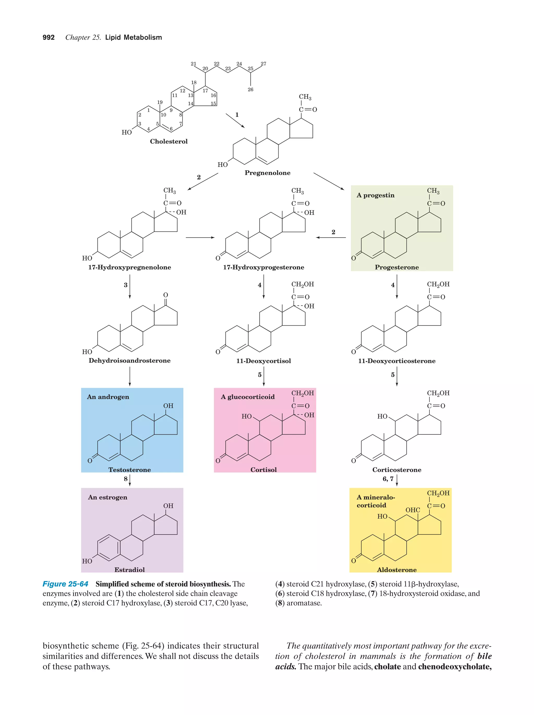 Biochemistry.4th.edition