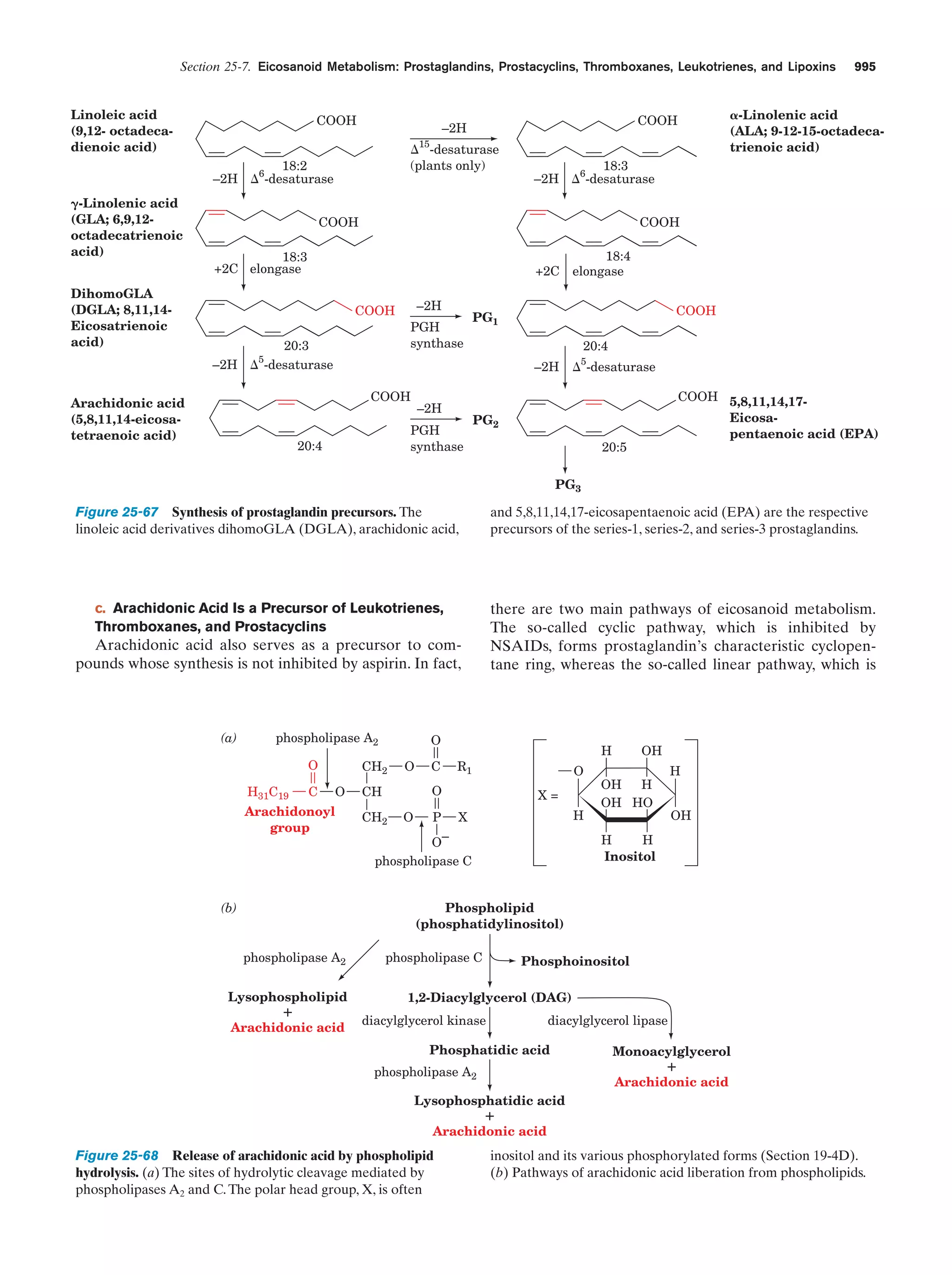 Biochemistry.4th.edition
