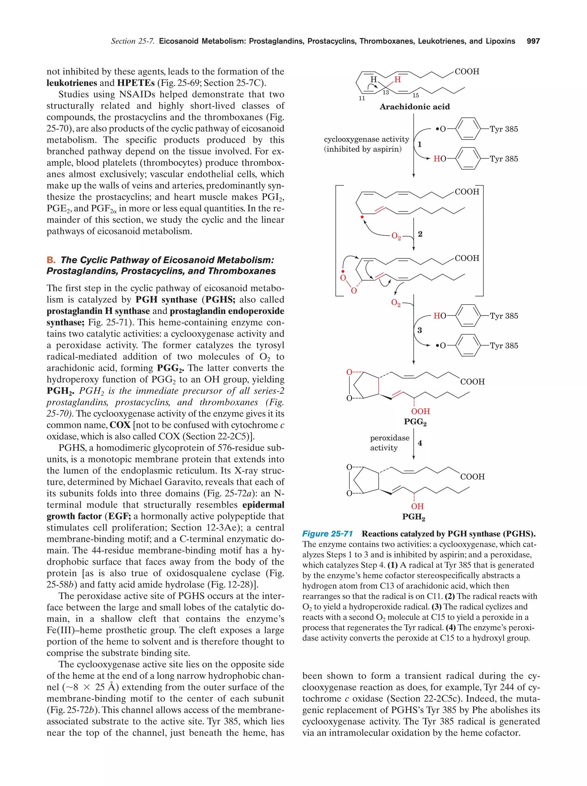 Biochemistry.4th.edition