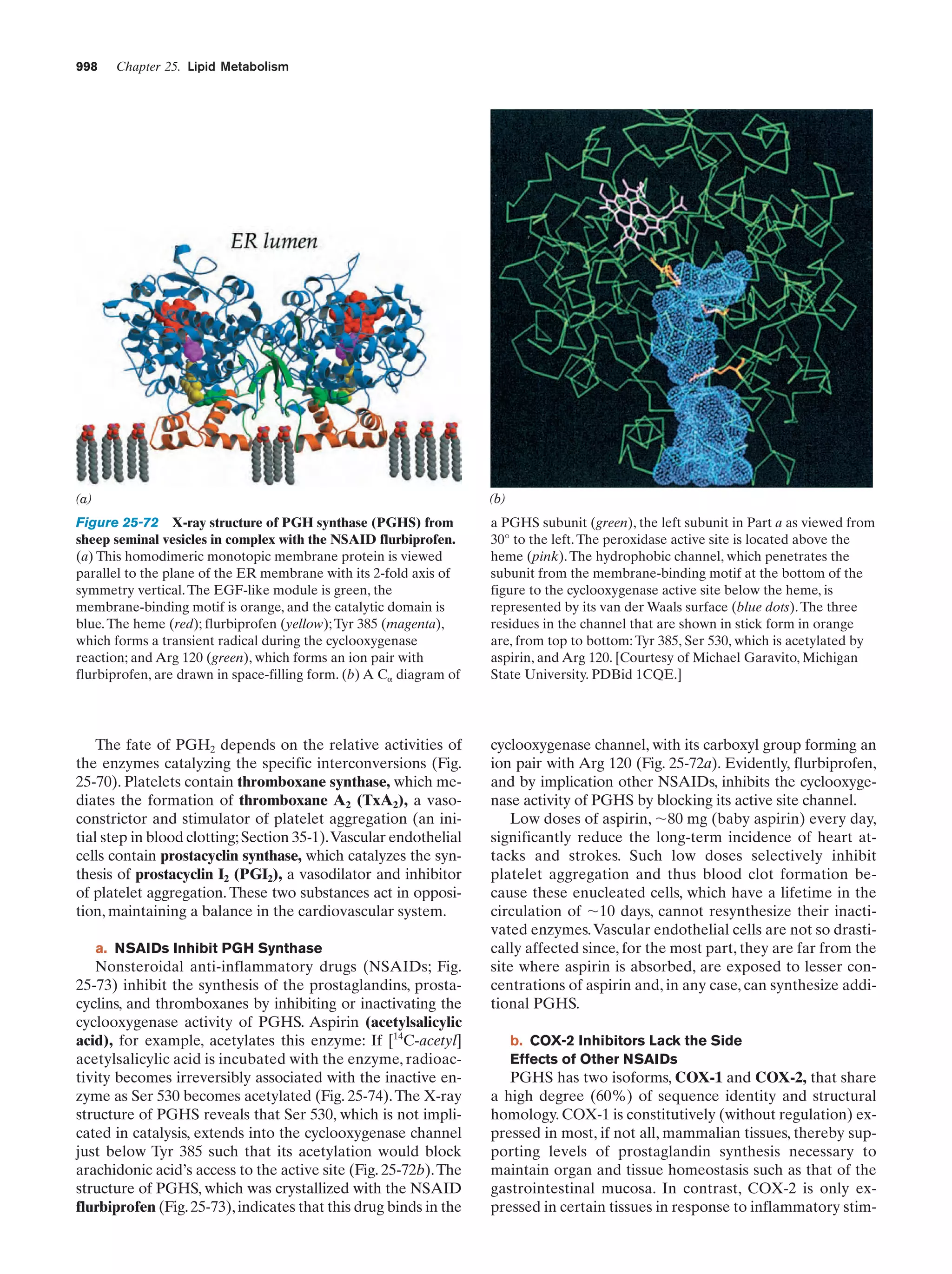 Biochemistry.4th.edition