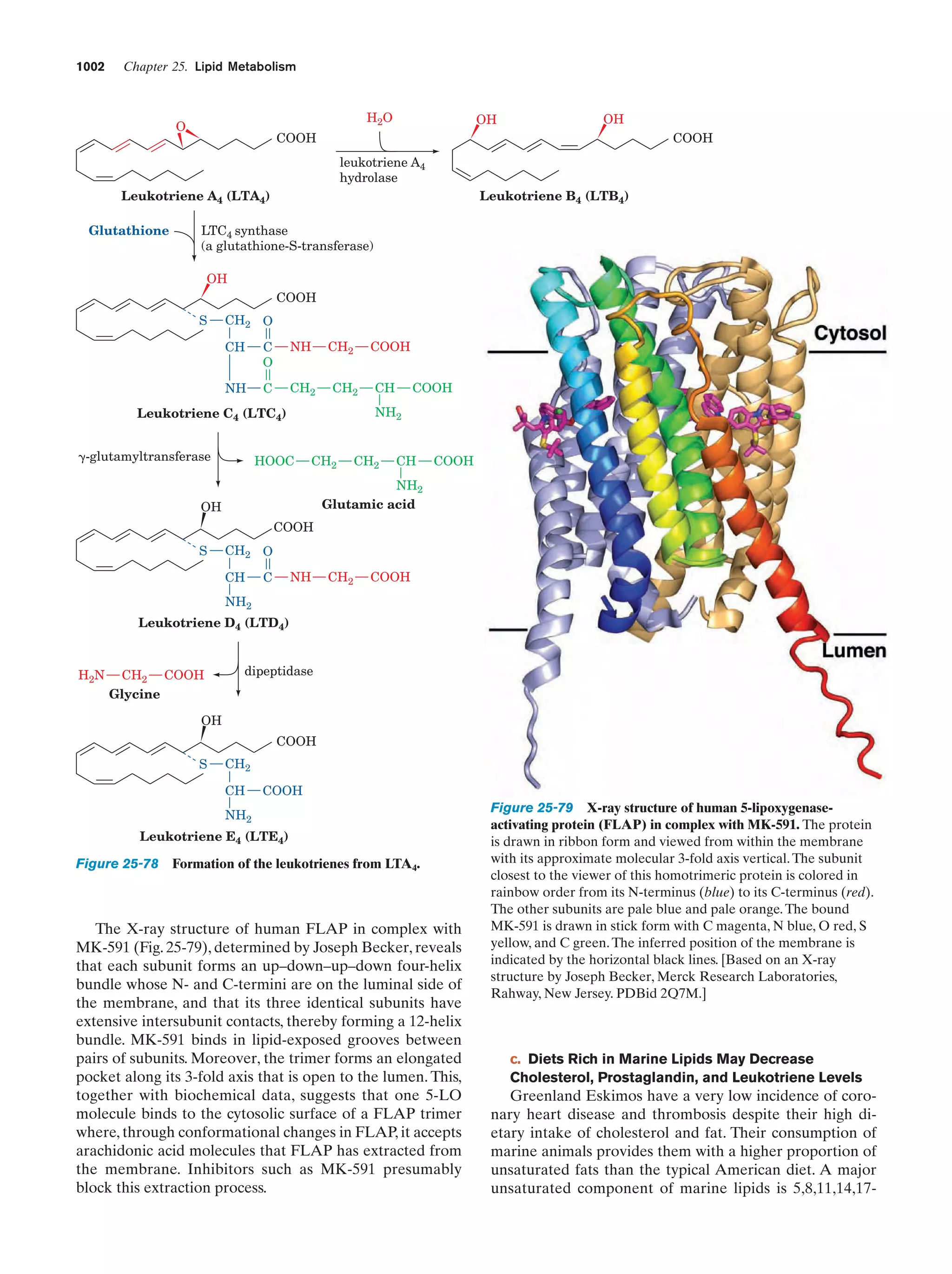 Biochemistry.4th.edition