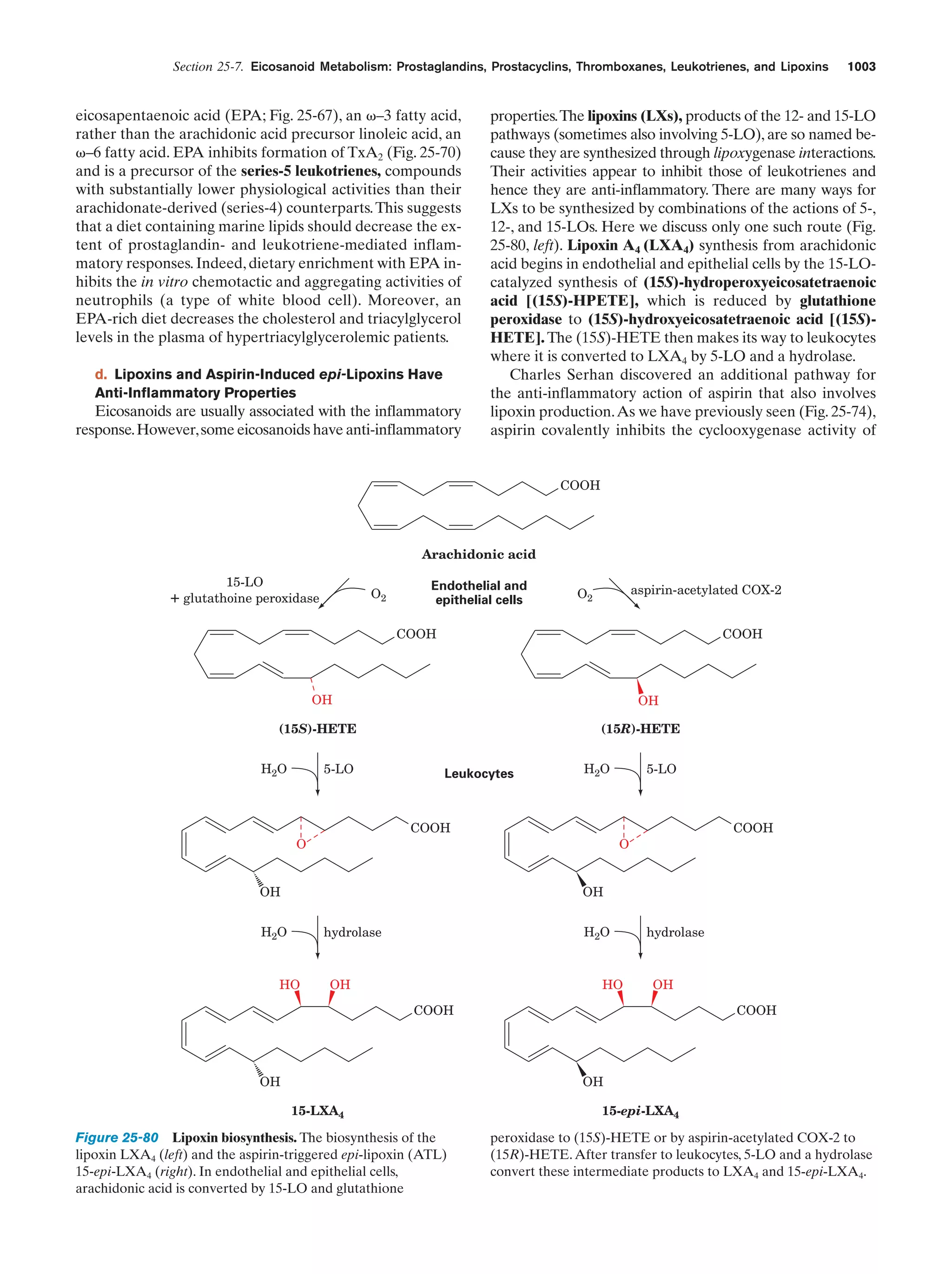 Biochemistry.4th.edition