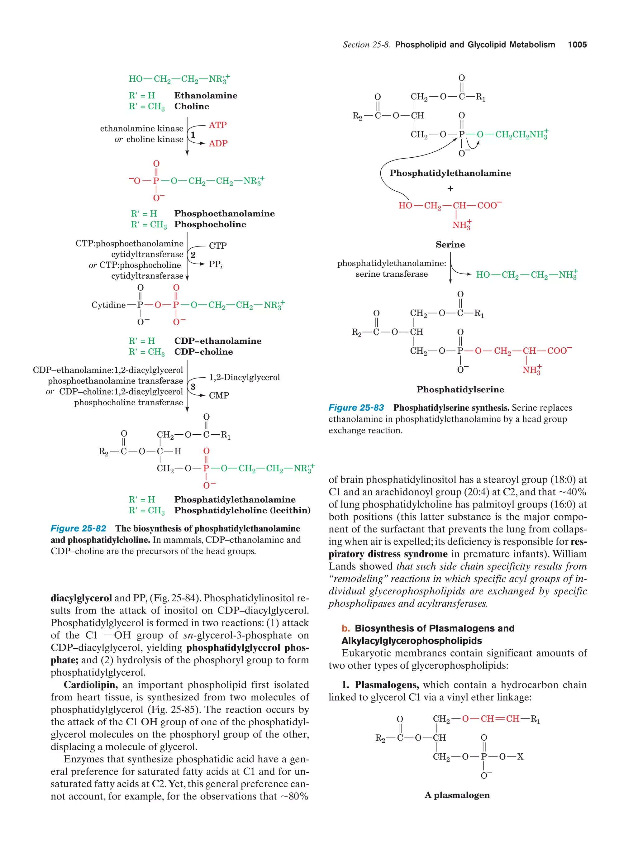 Biochemistry.4th.edition