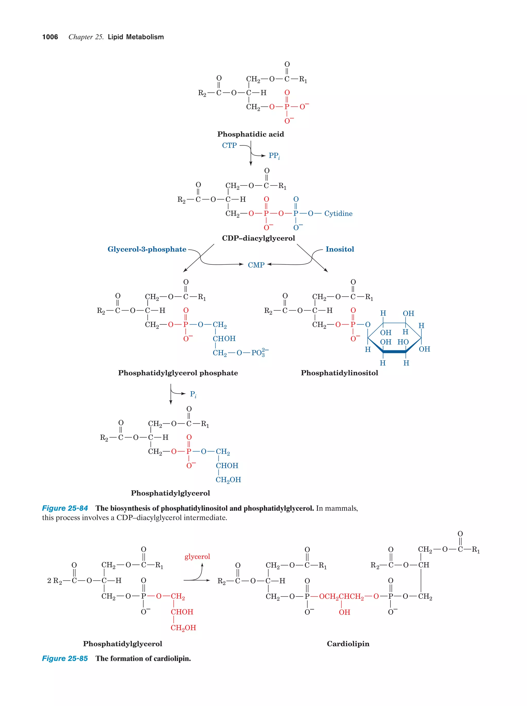 Biochemistry.4th.edition