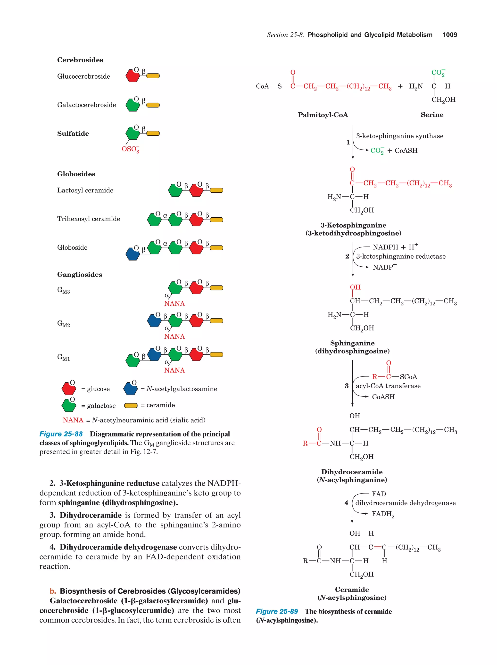 Biochemistry.4th.edition