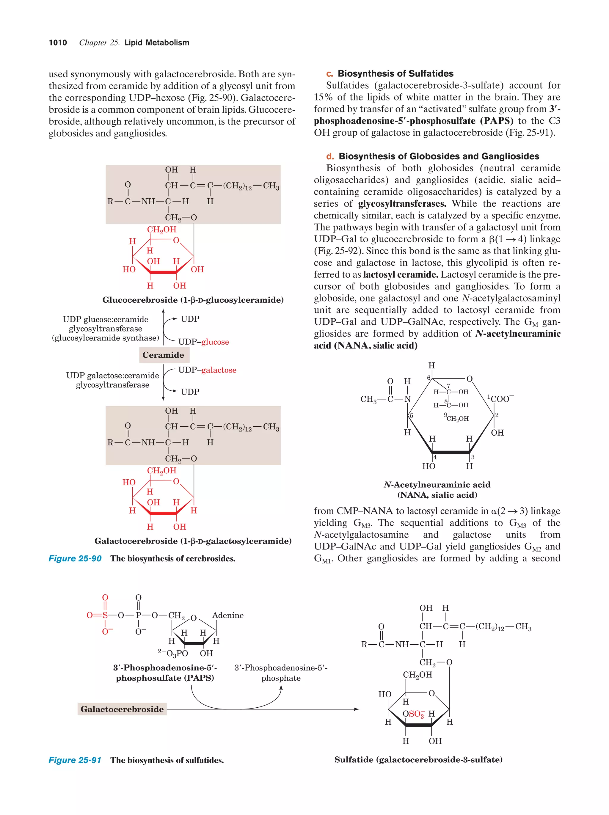 Biochemistry.4th.edition