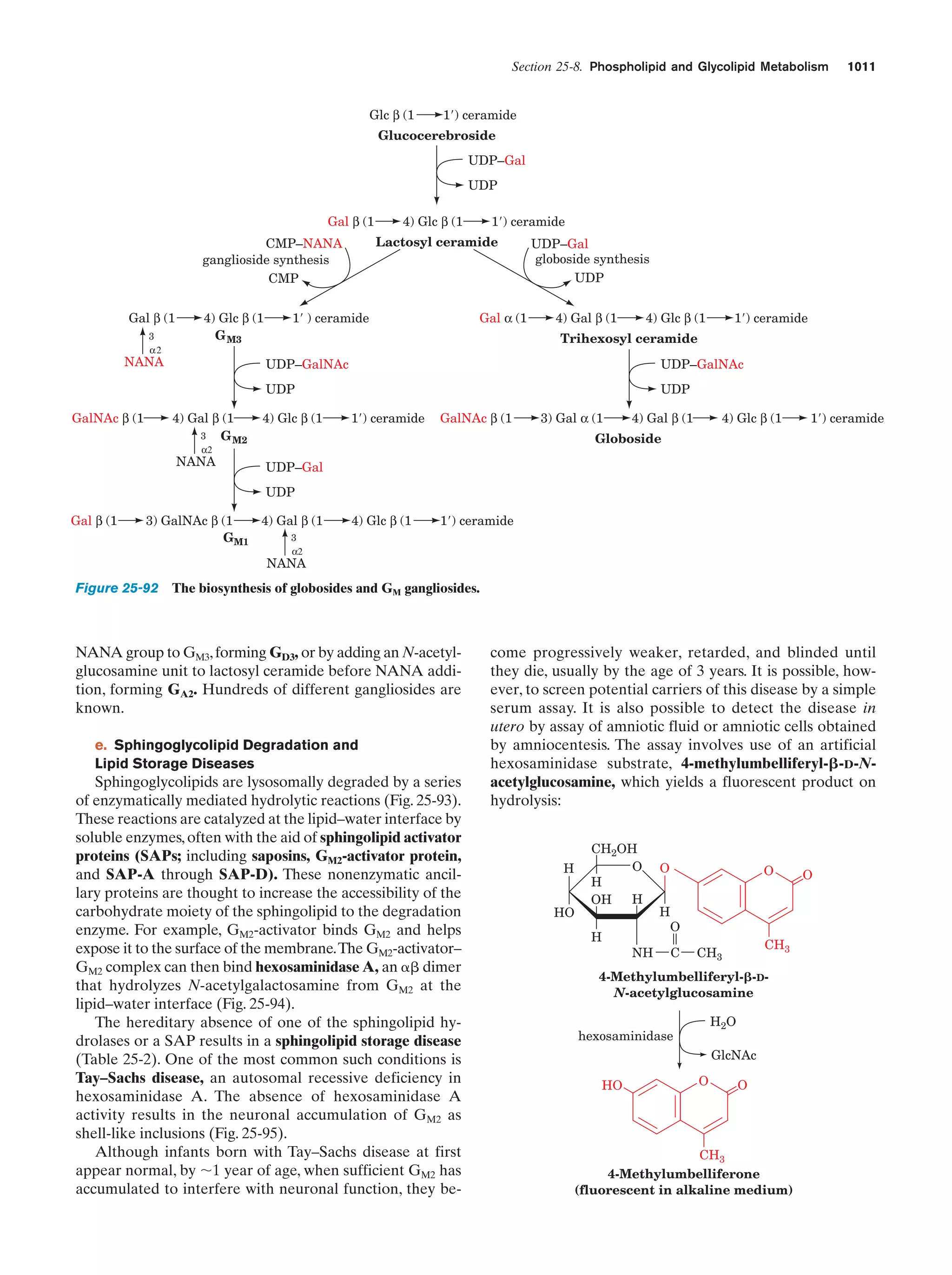 Biochemistry.4th.edition