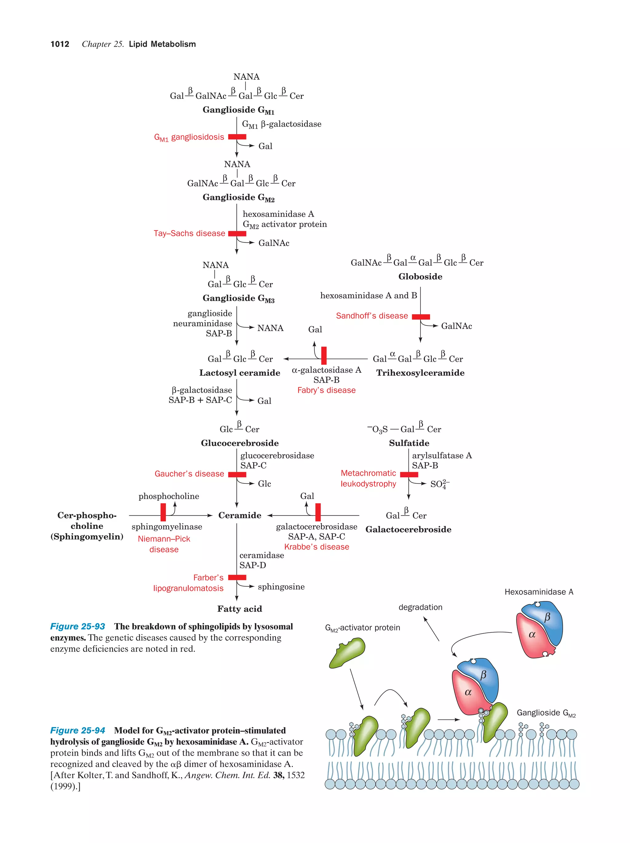 Biochemistry.4th.edition