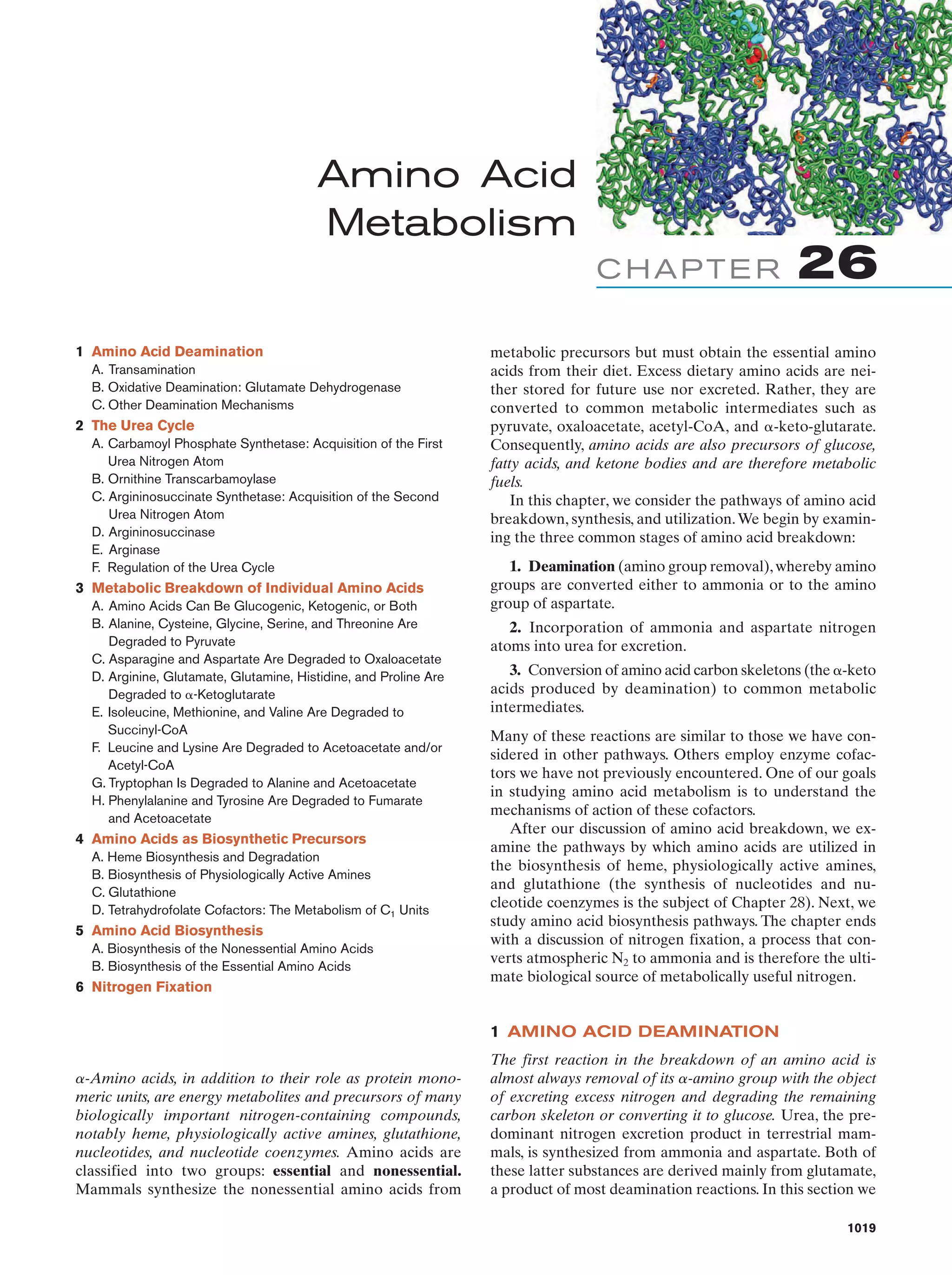 Biochemistry.4th.edition