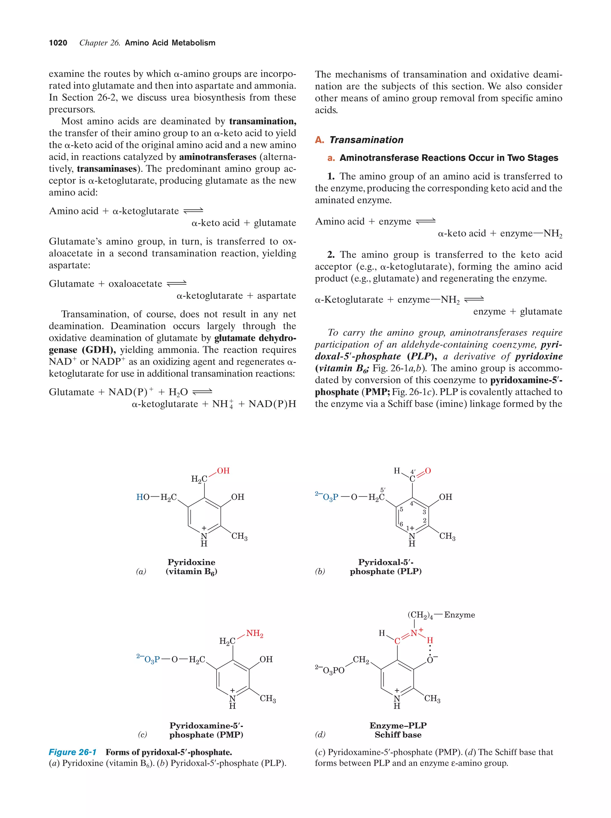 Biochemistry.4th.edition
