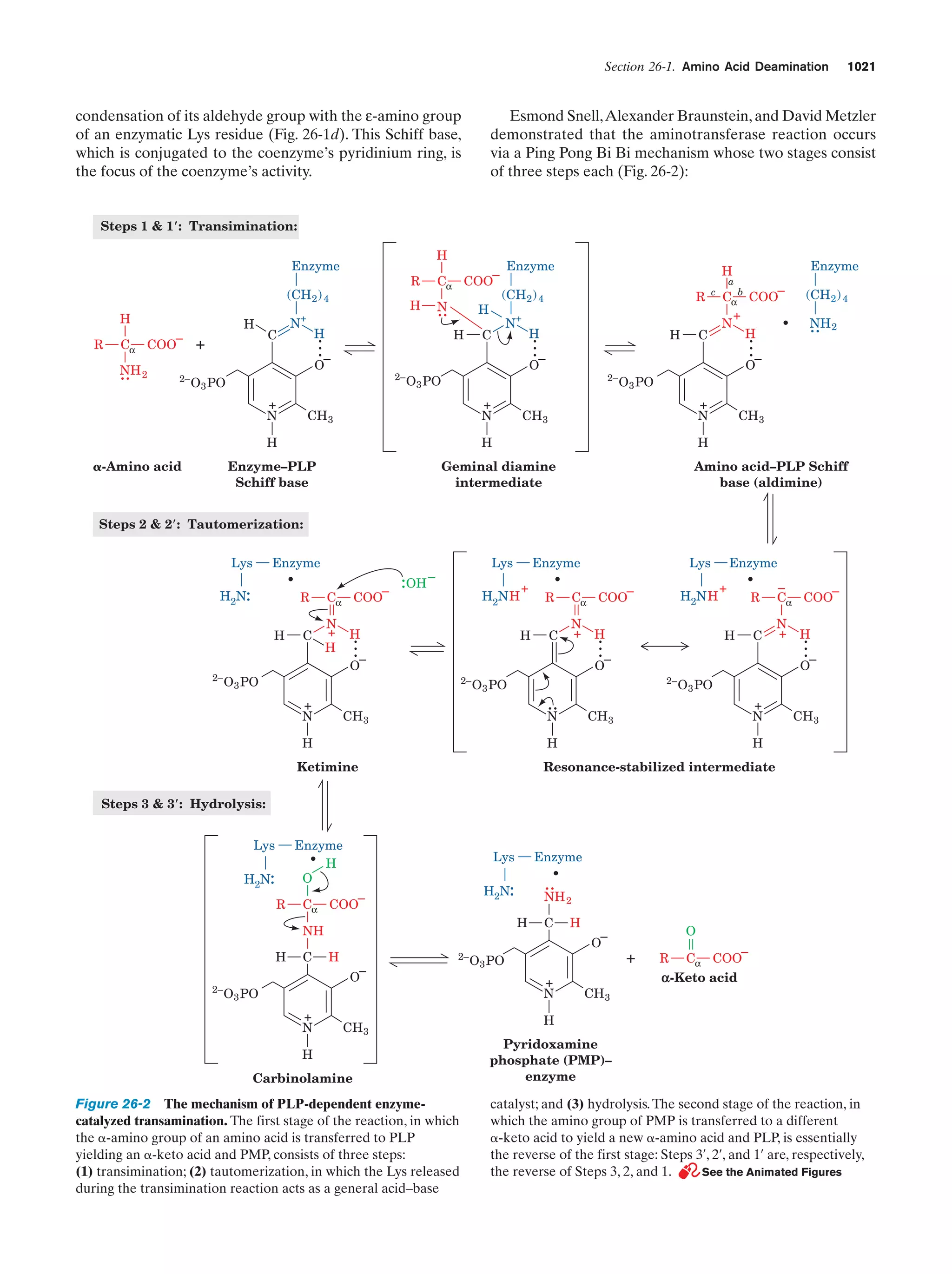 Biochemistry.4th.edition