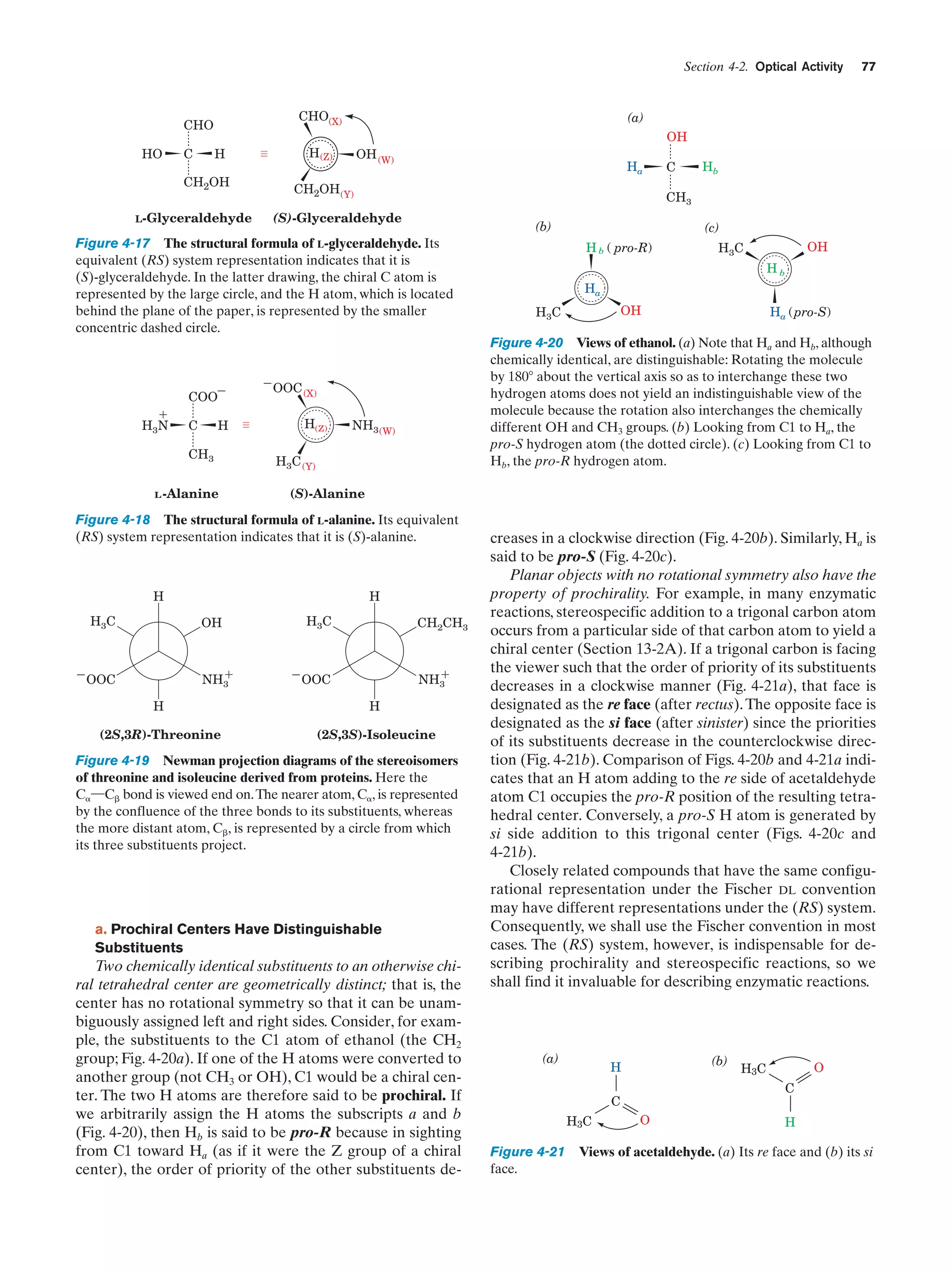 Section 4-2. Optical Activity

CHO(X)

CHO
HO

C

CH2OH
L-Glyceraldehyde

(a)
OH

H (Z)

H

OH (W)

Ha

CH2OH (Y)

ϩ
H3N

C

H

CH3
L -Alanine

ϪOOC

(b)

NH3 (W)

H3C (Y)

H

H
OH

ϩ
NH3

ϪOOC

(c)
H b ( pro-R)

OH

H3C
Hb

Ha
OH

H3C

Ha (pro-S)

(S)-Alanine

Figure 4-18 The structural formula of L-alanine. Its equivalent
(RS) system representation indicates that it is (S)-alanine.

H3C

Hb

Figure 4-20 Views of ethanol. (a) Note that Ha and Hb, although
chemically identical, are distinguishable: Rotating the molecule
by 180Њ about the vertical axis so as to interchange these two
hydrogen atoms does not yield an indistinguishable view of the
molecule because the rotation also interchanges the chemically
different OH and CH3 groups. (b) Looking from C1 to Ha, the
pro-S hydrogen atom (the dotted circle). (c) Looking from C1 to
Hb, the pro-R hydrogen atom.

(X)

H(Z)

C
CH3

(S)-Glyceraldehyde

Figure 4-17 The structural formula of L-glyceraldehyde. Its
equivalent (RS) system representation indicates that it is
(S)-glyceraldehyde. In the latter drawing, the chiral C atom is
represented by the large circle, and the H atom, which is located
behind the plane of the paper, is represented by the smaller
concentric dashed circle.

COOϪ

77

H3C

CH2CH3

ϩ
NH3

ϪOOC

H

H

(2S,3R)-Threonine

(2S,3S)-Isoleucine

Figure 4-19 Newman projection diagrams of the stereoisomers
of threonine and isoleucine derived from proteins. Here the
C␣¬C␤ bond is viewed end on. The nearer atom, C␣, is represented
by the confluence of the three bonds to its substituents, whereas
the more distant atom, C␤, is represented by a circle from which
its three substituents project.

a. Prochiral Centers Have Distinguishable
Substituents

Two chemically identical substituents to an otherwise chiral tetrahedral center are geometrically distinct; that is, the
center has no rotational symmetry so that it can be unambiguously assigned left and right sides. Consider, for example, the substituents to the C1 atom of ethanol (the CH2
group; Fig. 4-20a). If one of the H atoms were converted to
another group (not CH3 or OH), C1 would be a chiral center. The two H atoms are therefore said to be prochiral. If
we arbitrarily assign the H atoms the subscripts a and b
(Fig. 4-20), then Hb is said to be pro-R because in sighting
from C1 toward Ha (as if it were the Z group of a chiral
center), the order of priority of the other substituents de-

creases in a clockwise direction (Fig. 4-20b). Similarly, Ha is
said to be pro-S (Fig. 4-20c).
Planar objects with no rotational symmetry also have the
property of prochirality. For example, in many enzymatic
reactions, stereospecific addition to a trigonal carbon atom
occurs from a particular side of that carbon atom to yield a
chiral center (Section 13-2A). If a trigonal carbon is facing
the viewer such that the order of priority of its substituents
decreases in a clockwise manner (Fig. 4-21a), that face is
designated as the re face (after rectus). The opposite face is
designated as the si face (after sinister) since the priorities
of its substituents decrease in the counterclockwise direction (Fig. 4-21b). Comparison of Figs. 4-20b and 4-21a indicates that an H atom adding to the re side of acetaldehyde
atom C1 occupies the pro-R position of the resulting tetrahedral center. Conversely, a pro-S H atom is generated by
si side addition to this trigonal center (Figs. 4-20c and
4-21b).
Closely related compounds that have the same configurational representation under the Fischer DL convention
may have different representations under the (RS) system.
Consequently, we shall use the Fischer convention in most
cases. The (RS) system, however, is indispensable for describing prochirality and stereospecific reactions, so we
shall find it invaluable for describing enzymatic reactions.

(a)

(b)

H

C

C

H3C

O

H3C

O

H

Figure 4-21 Views of acetaldehyde. (a) Its re face and (b) its si
face.

 