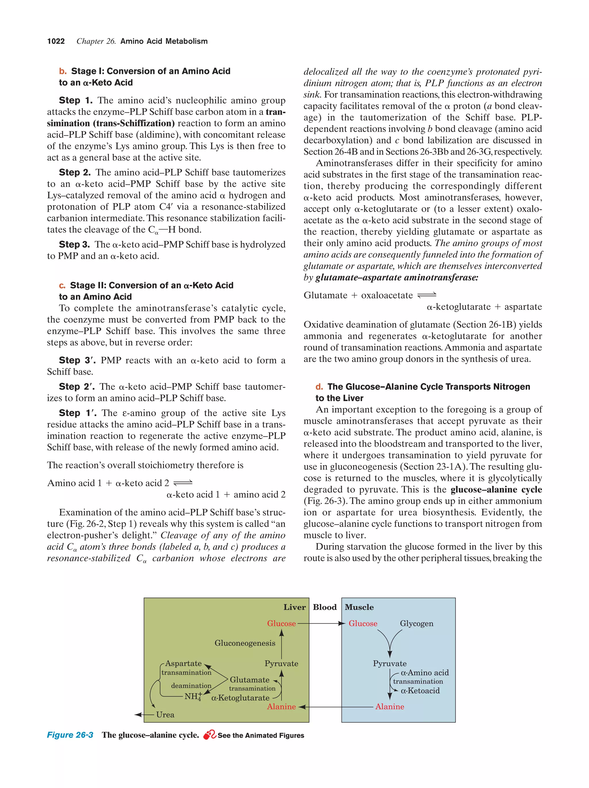 Biochemistry.4th.edition
