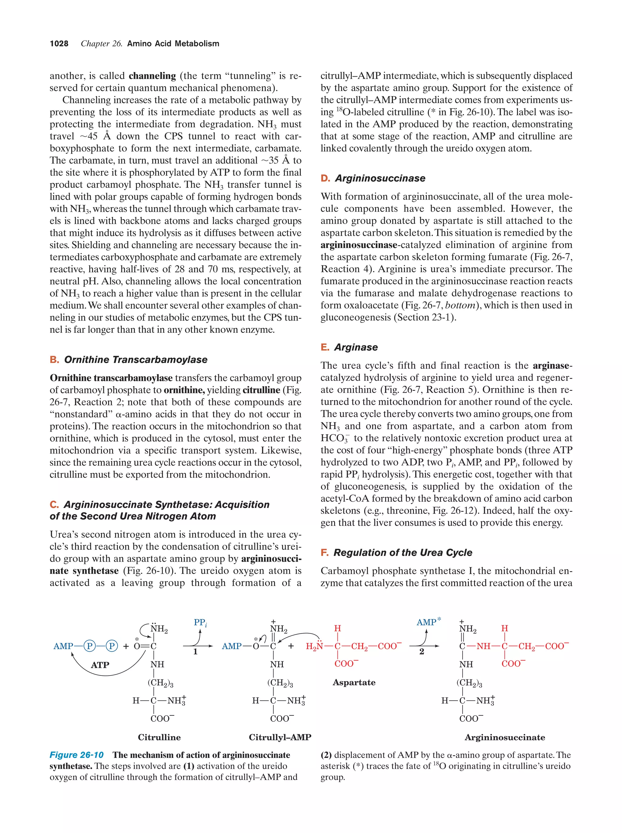 Biochemistry.4th.edition