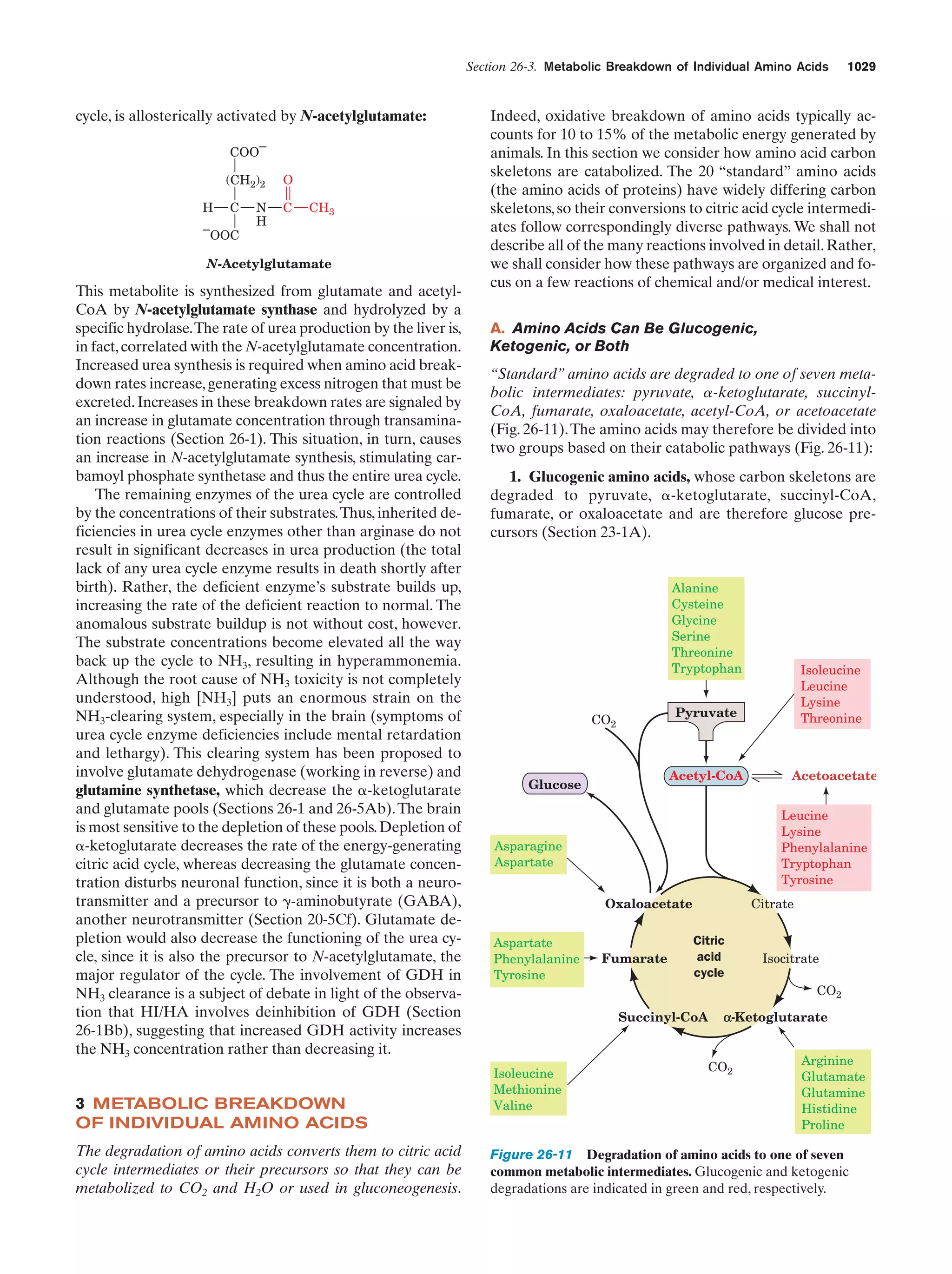 Biochemistry.4th.edition