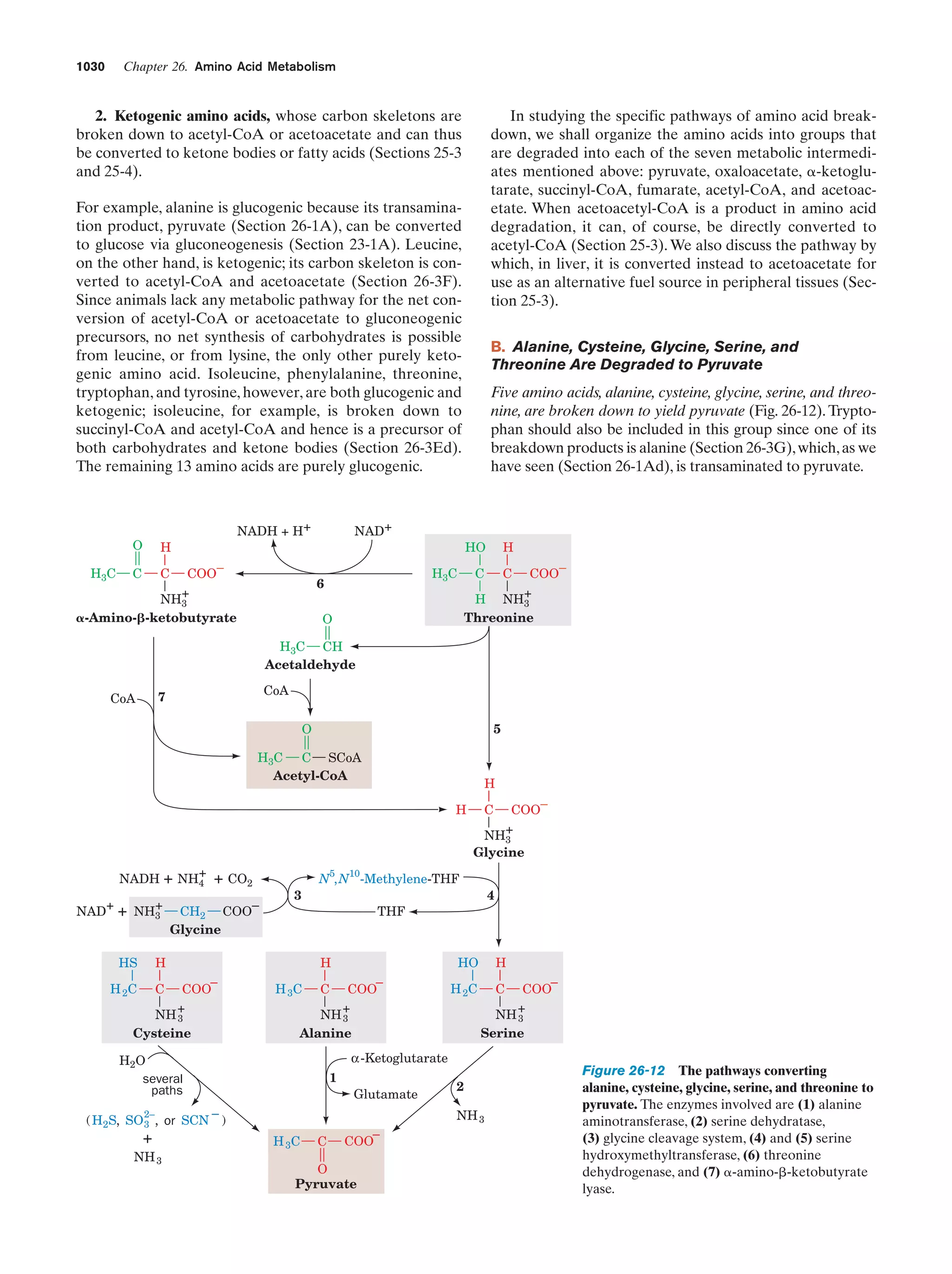 Biochemistry.4th.edition