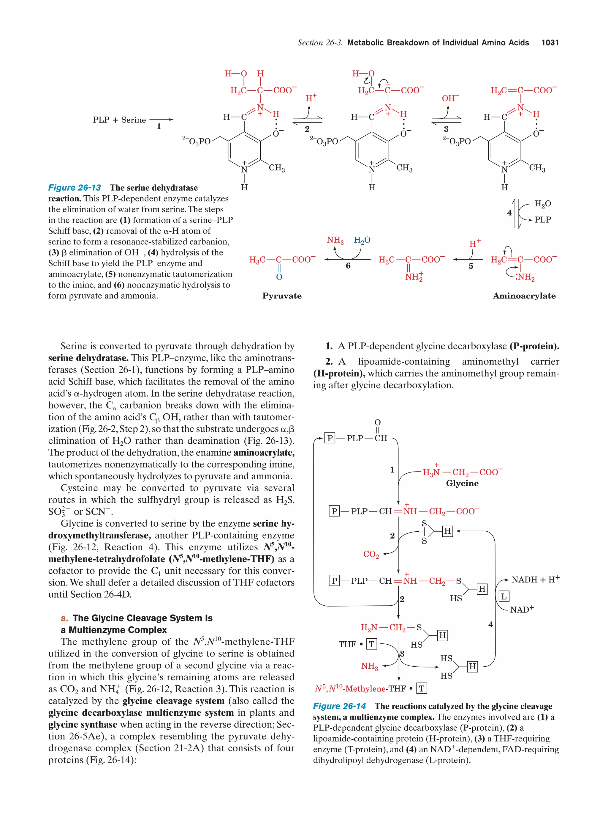 Biochemistry.4th.edition