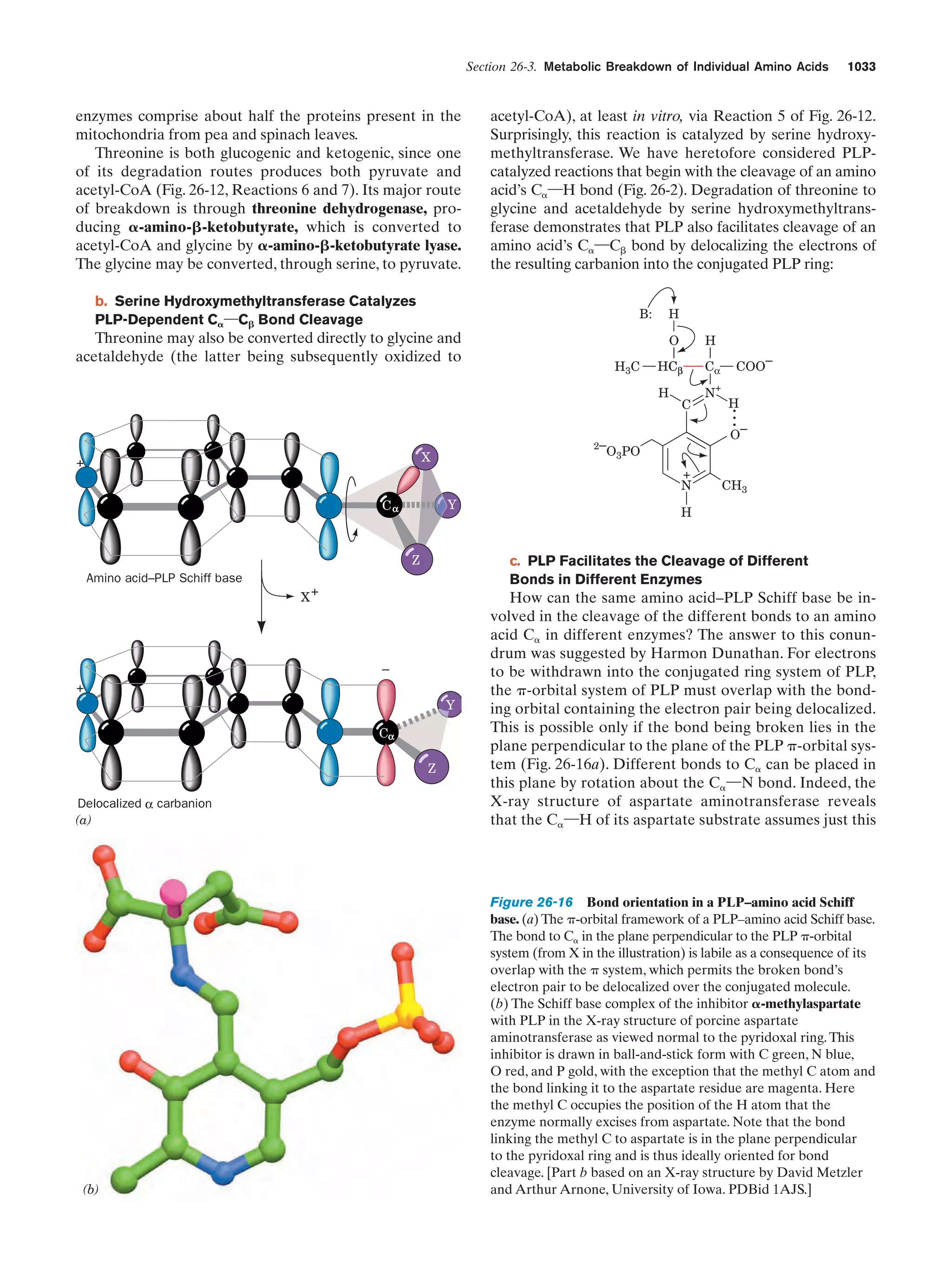 Biochemistry.4th.edition