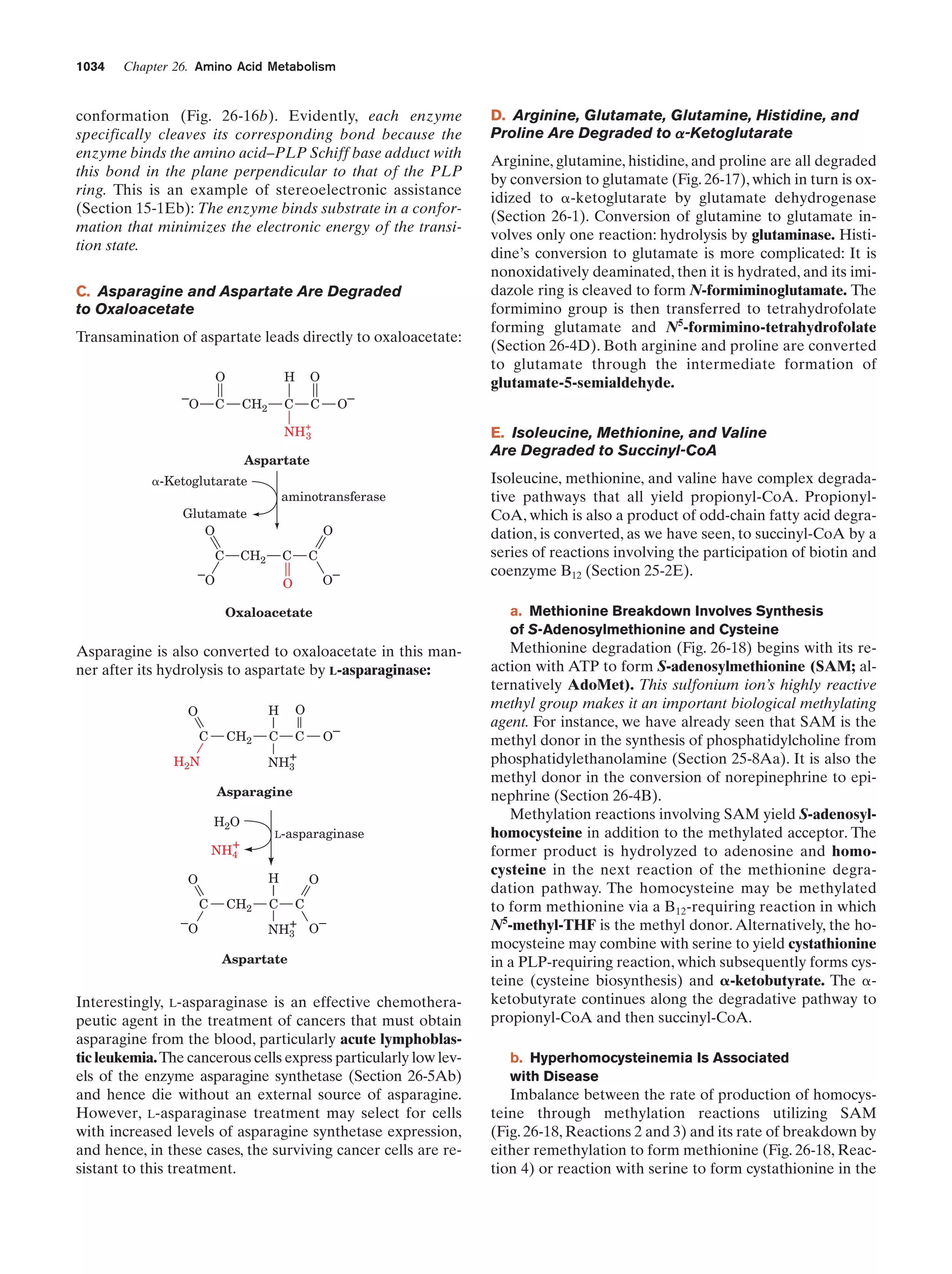 Biochemistry.4th.edition