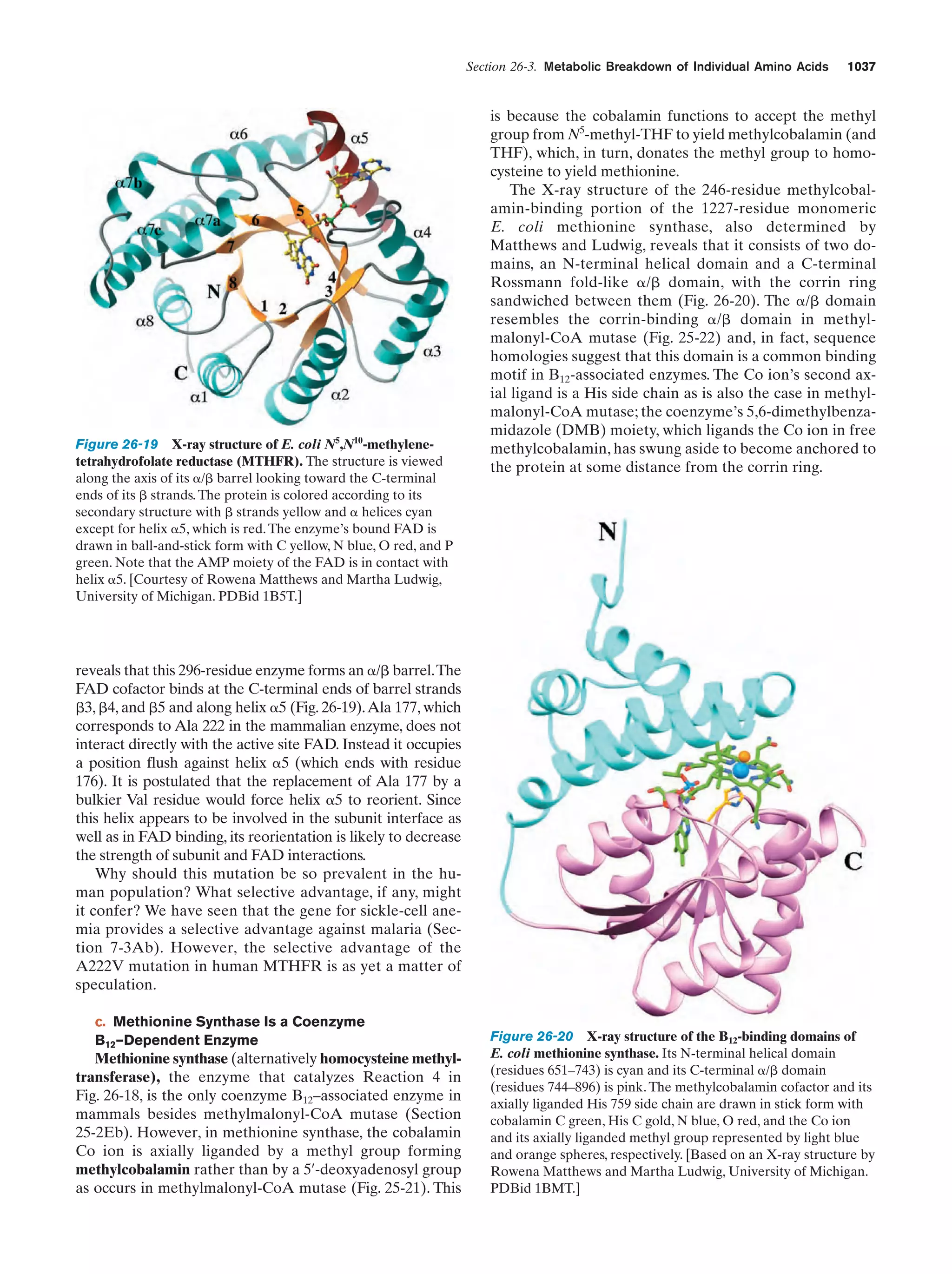 Biochemistry.4th.edition