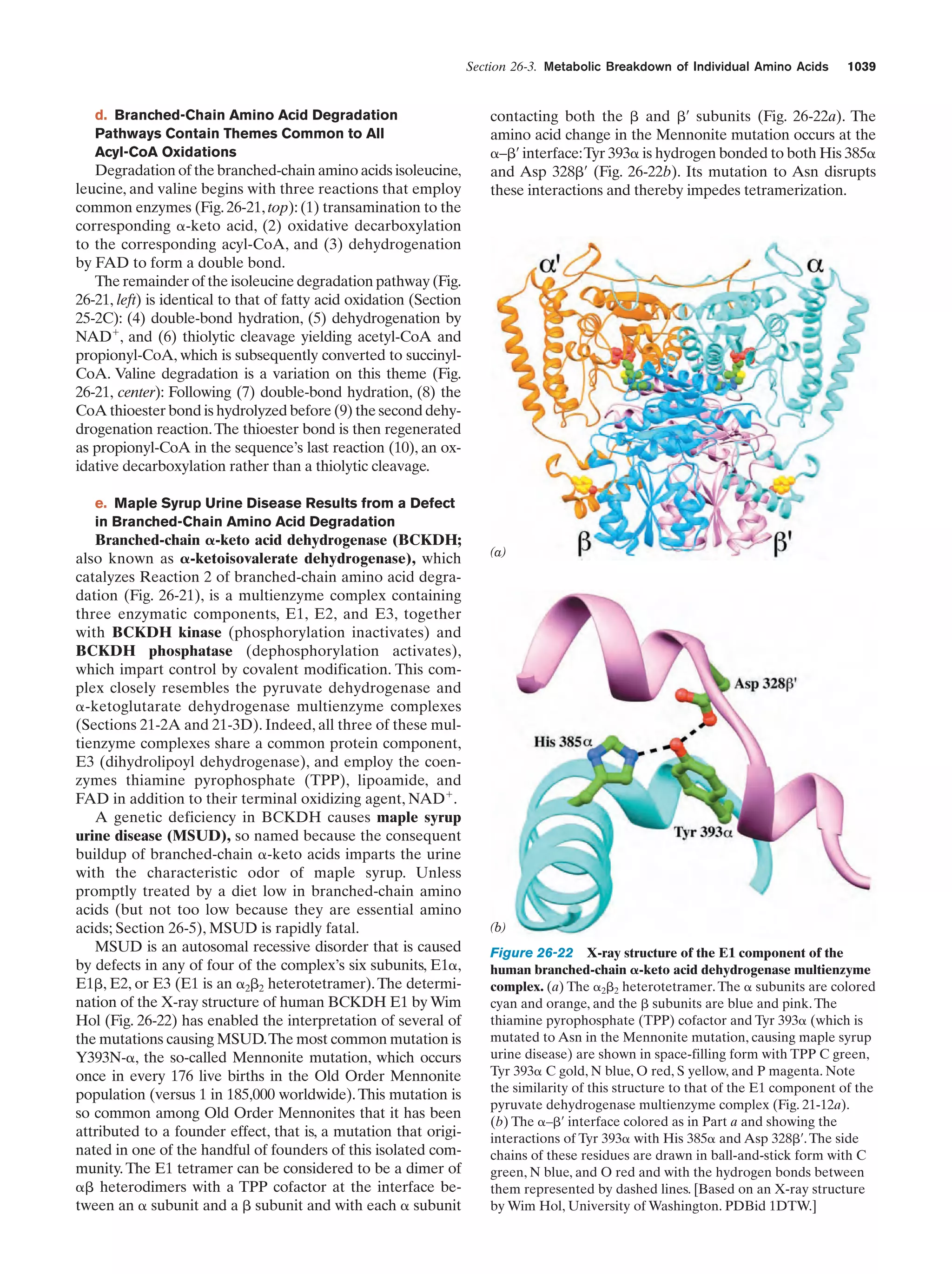 Biochemistry.4th.edition
