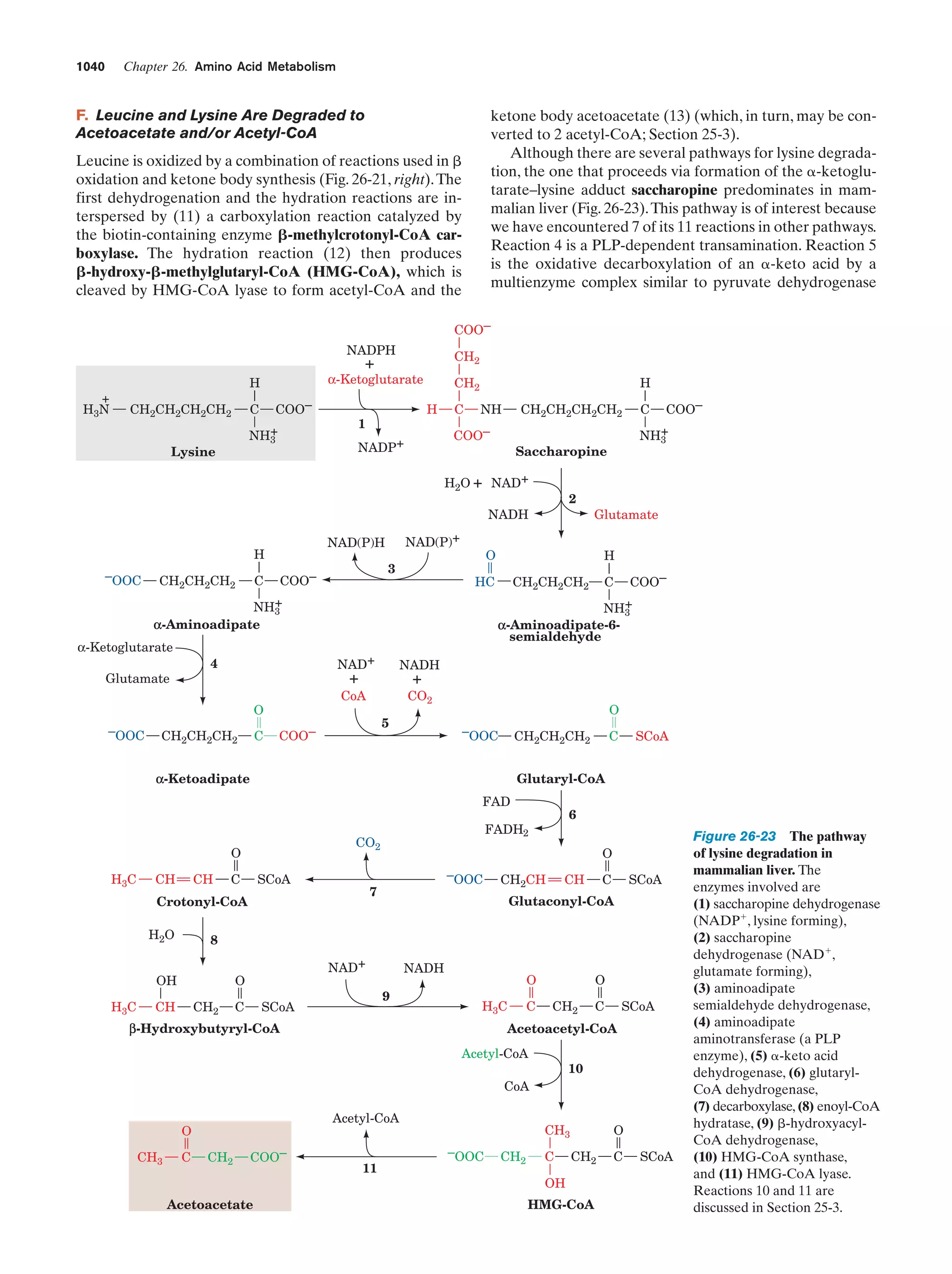 Biochemistry.4th.edition