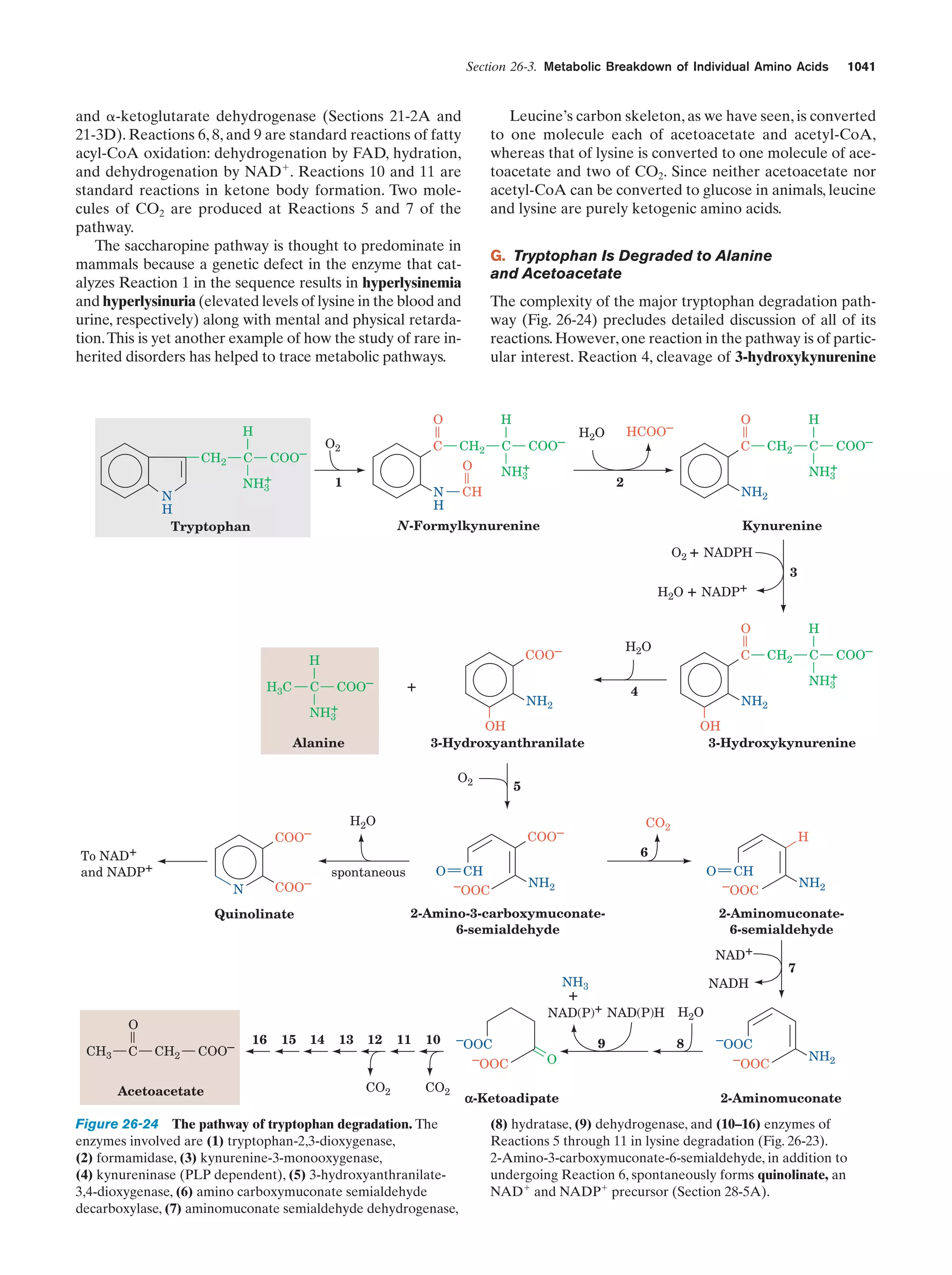 Biochemistry.4th.edition