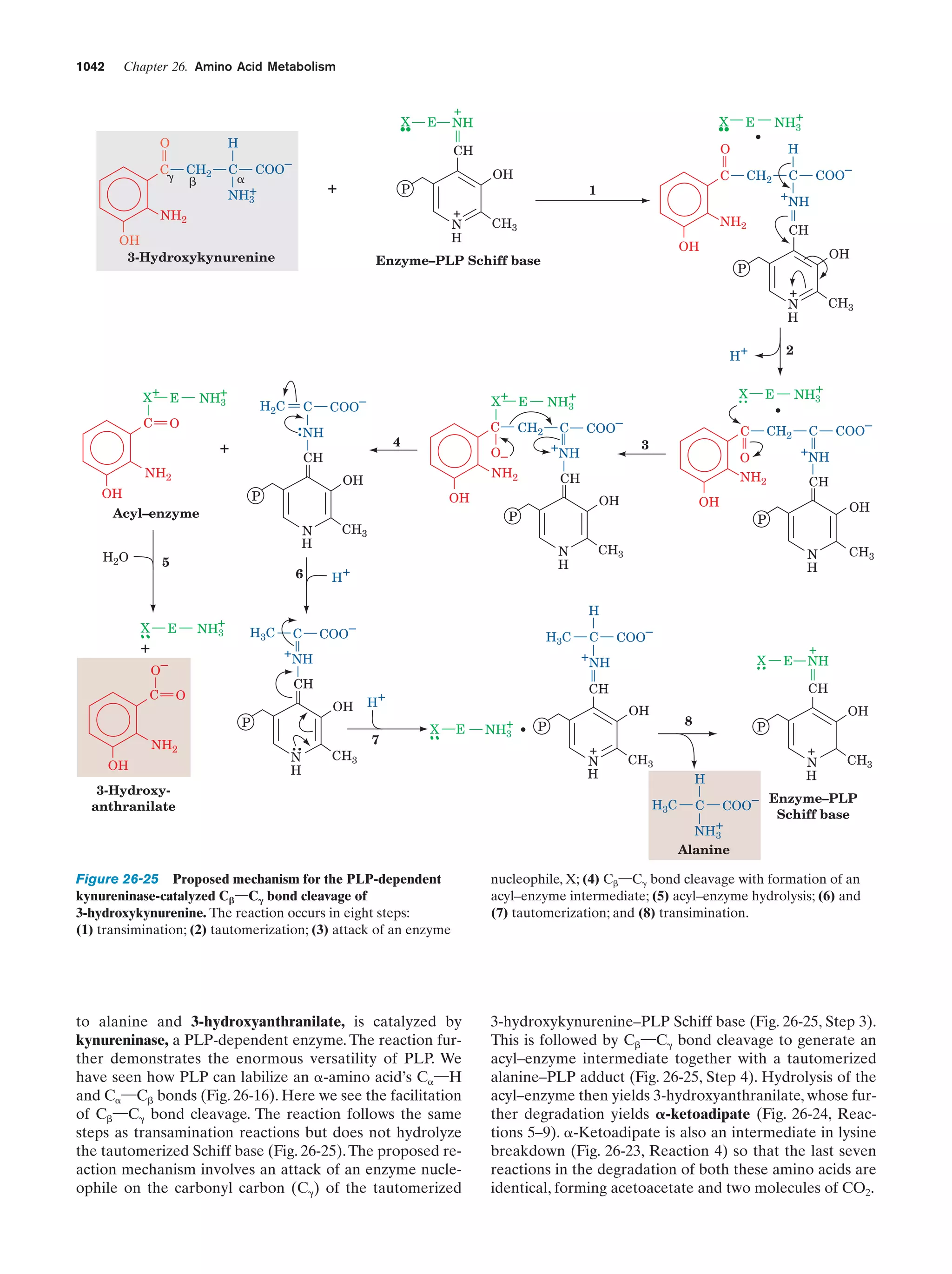 Biochemistry.4th.edition