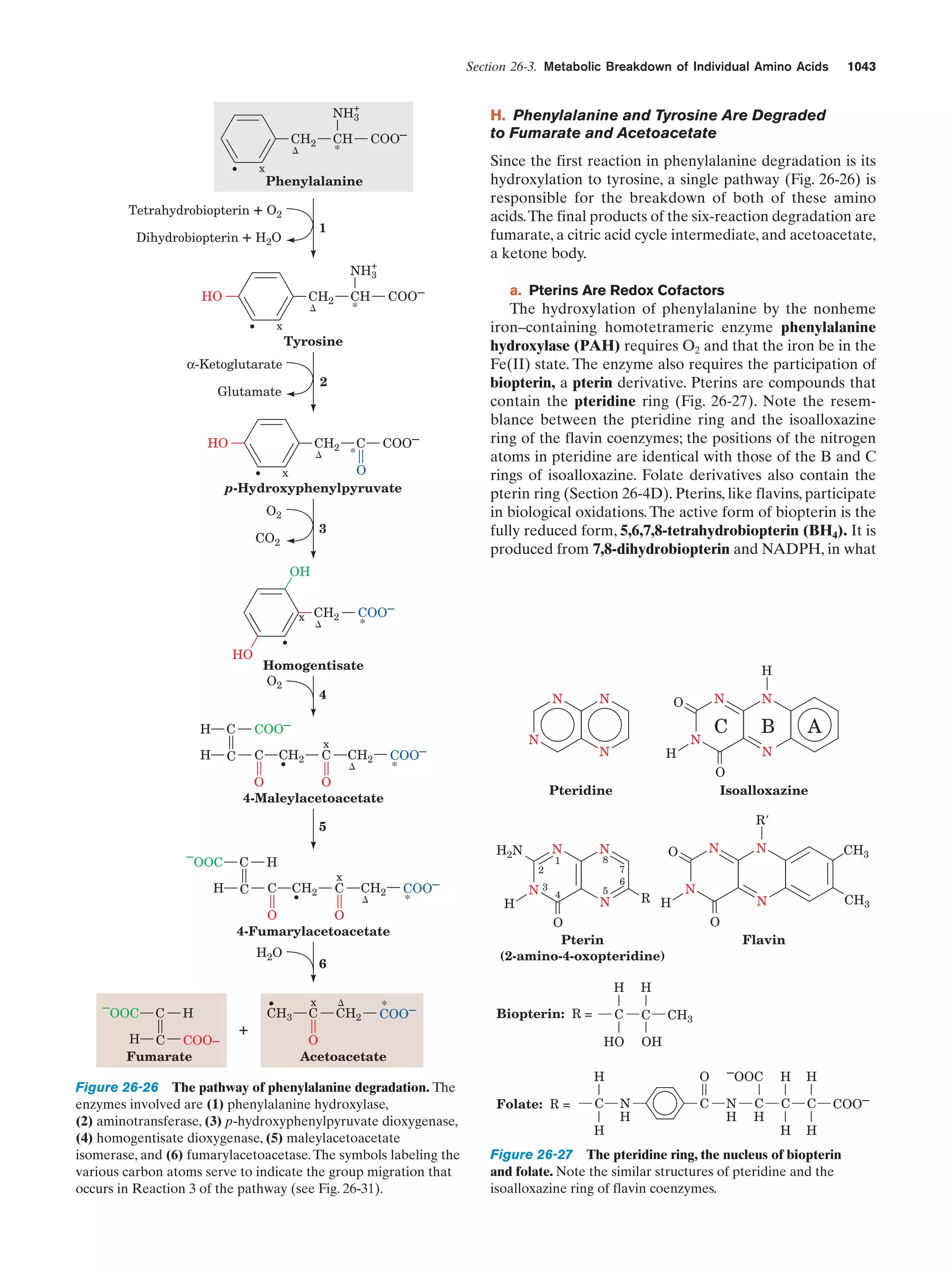 Biochemistry.4th.edition