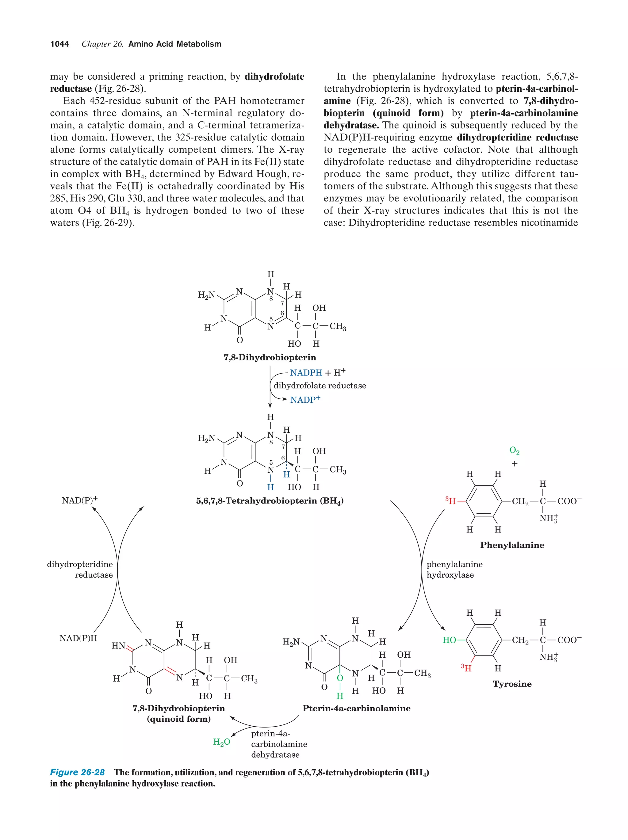 Biochemistry.4th.edition