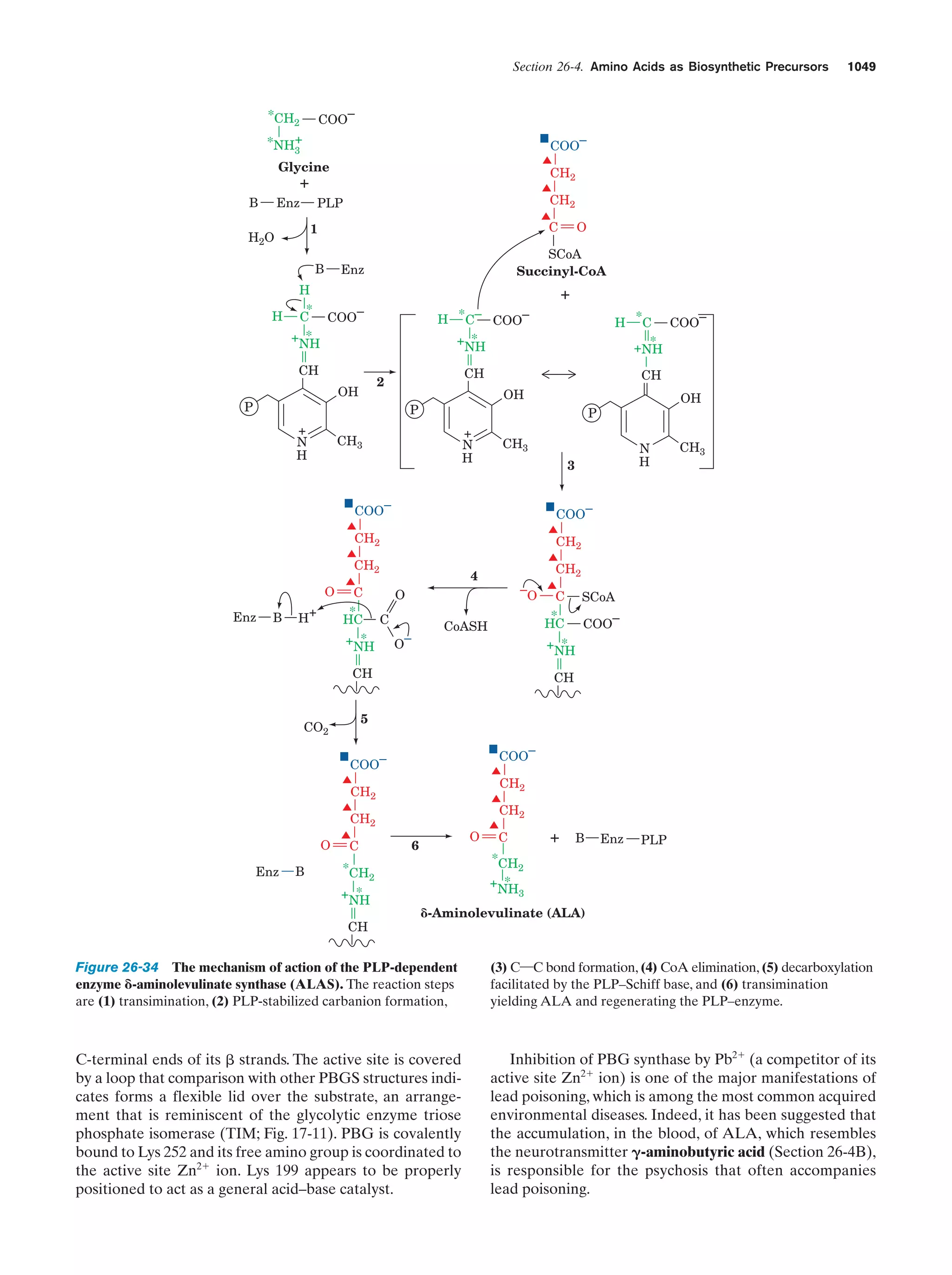 Biochemistry.4th.edition