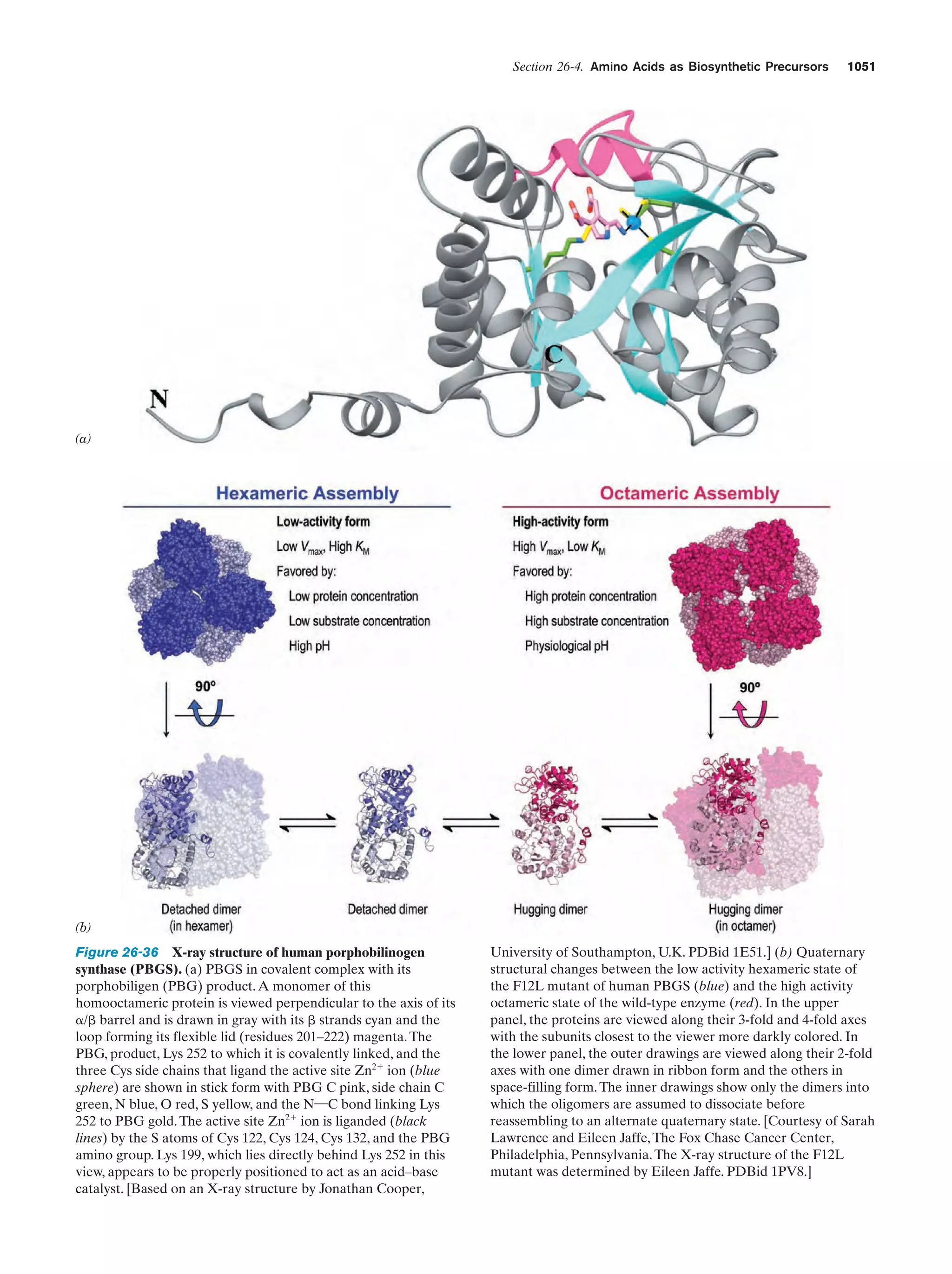 Biochemistry.4th.edition