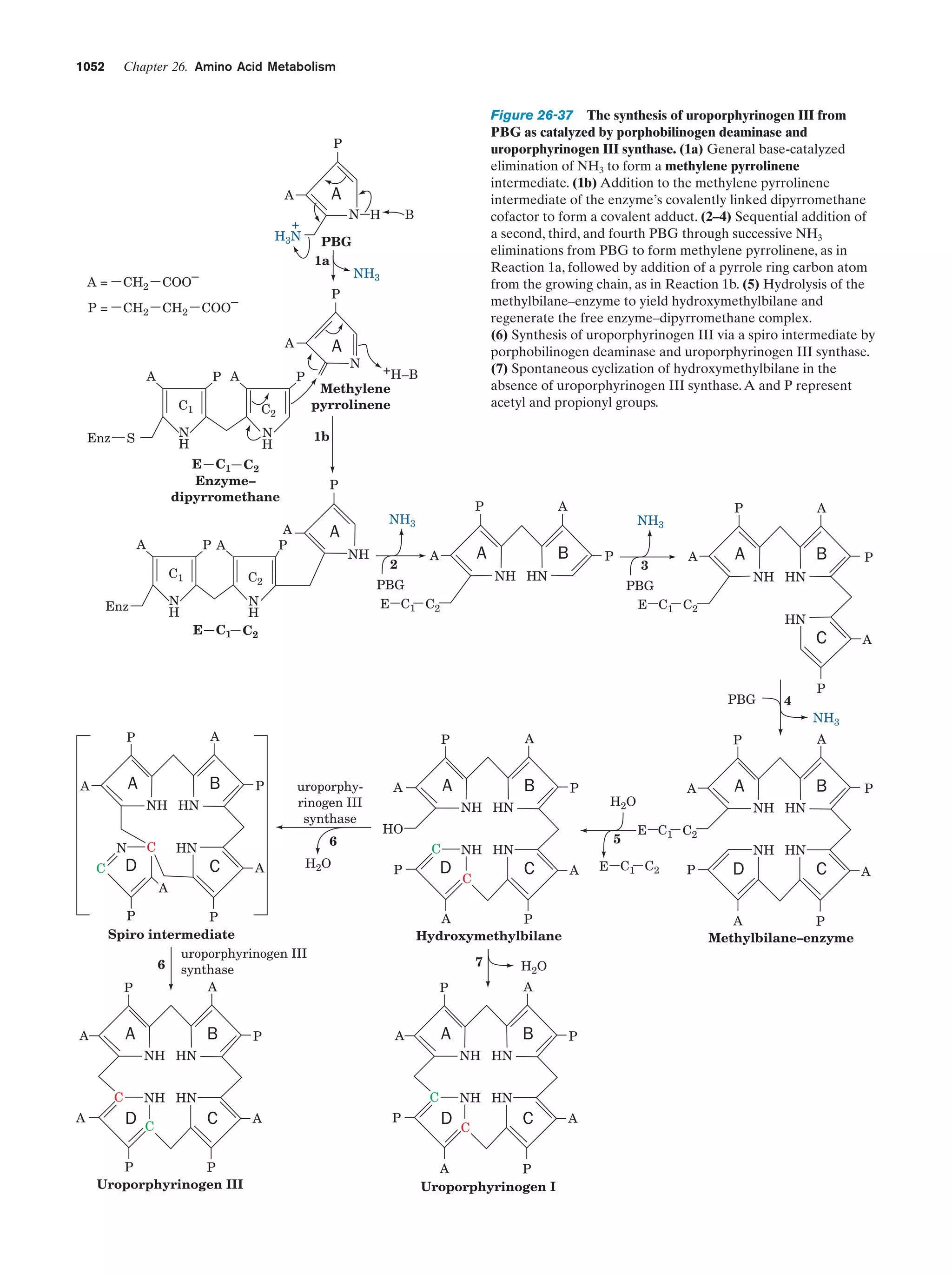 Biochemistry.4th.edition