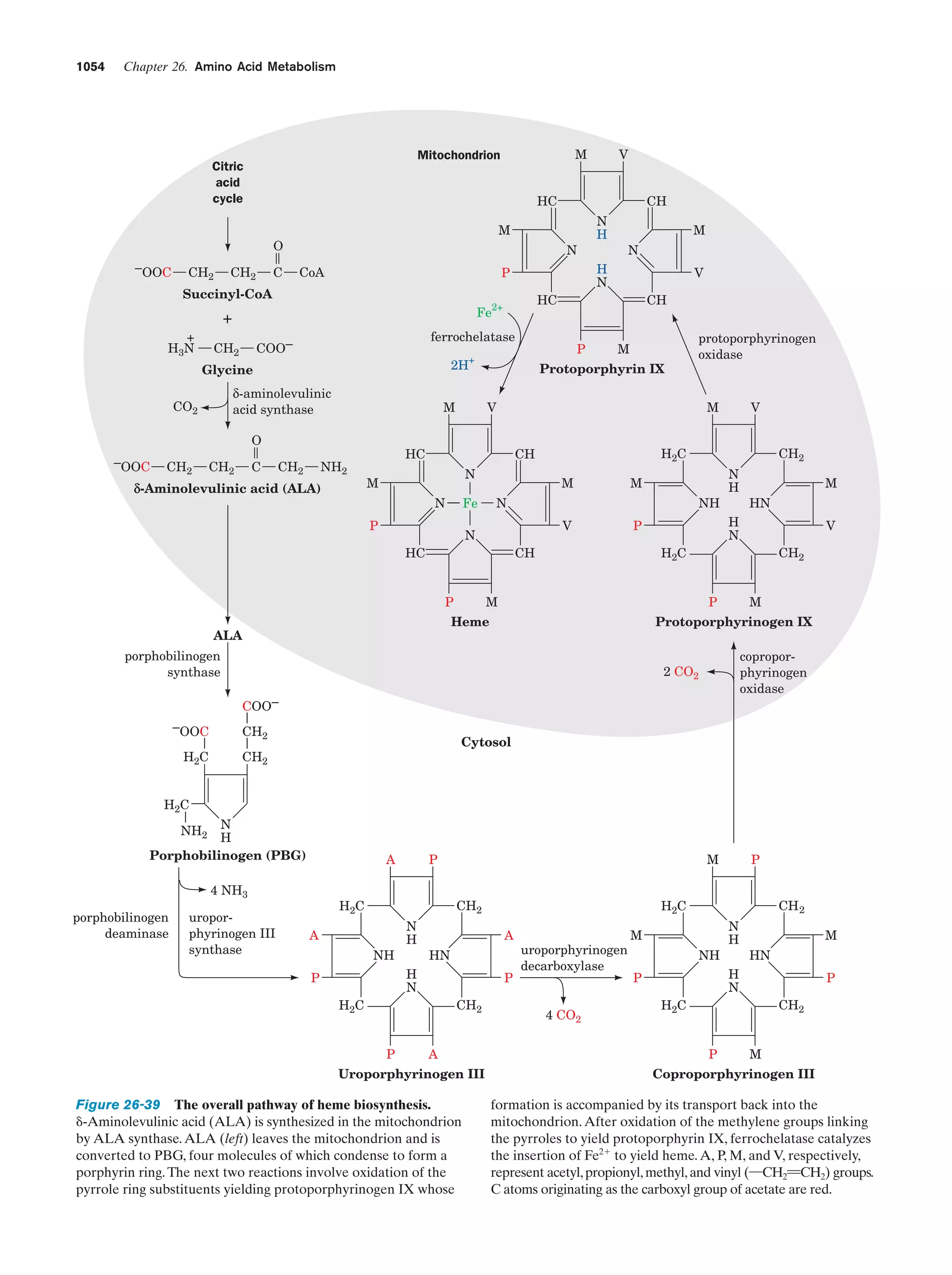 Biochemistry.4th.edition