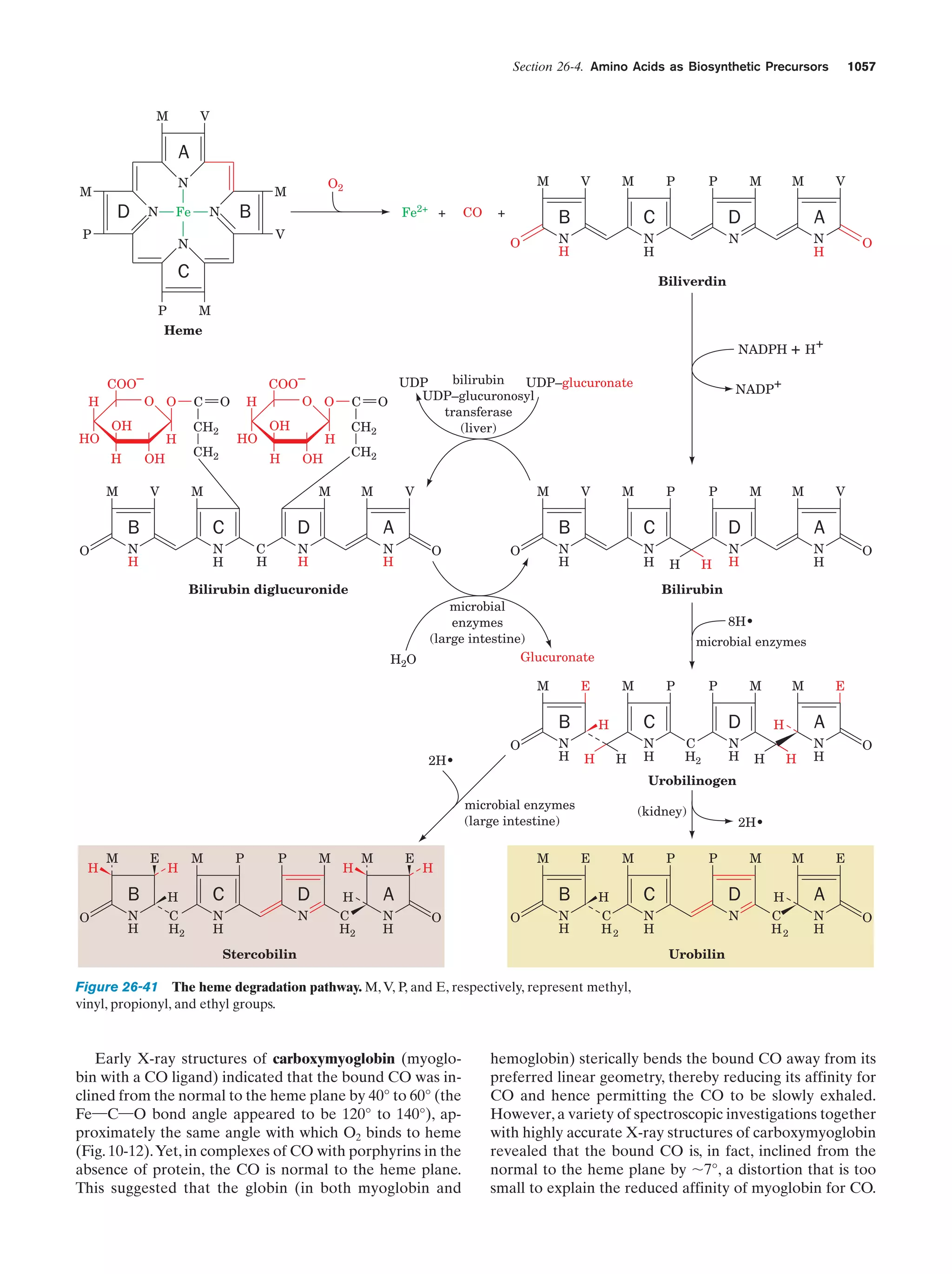 Biochemistry.4th.edition