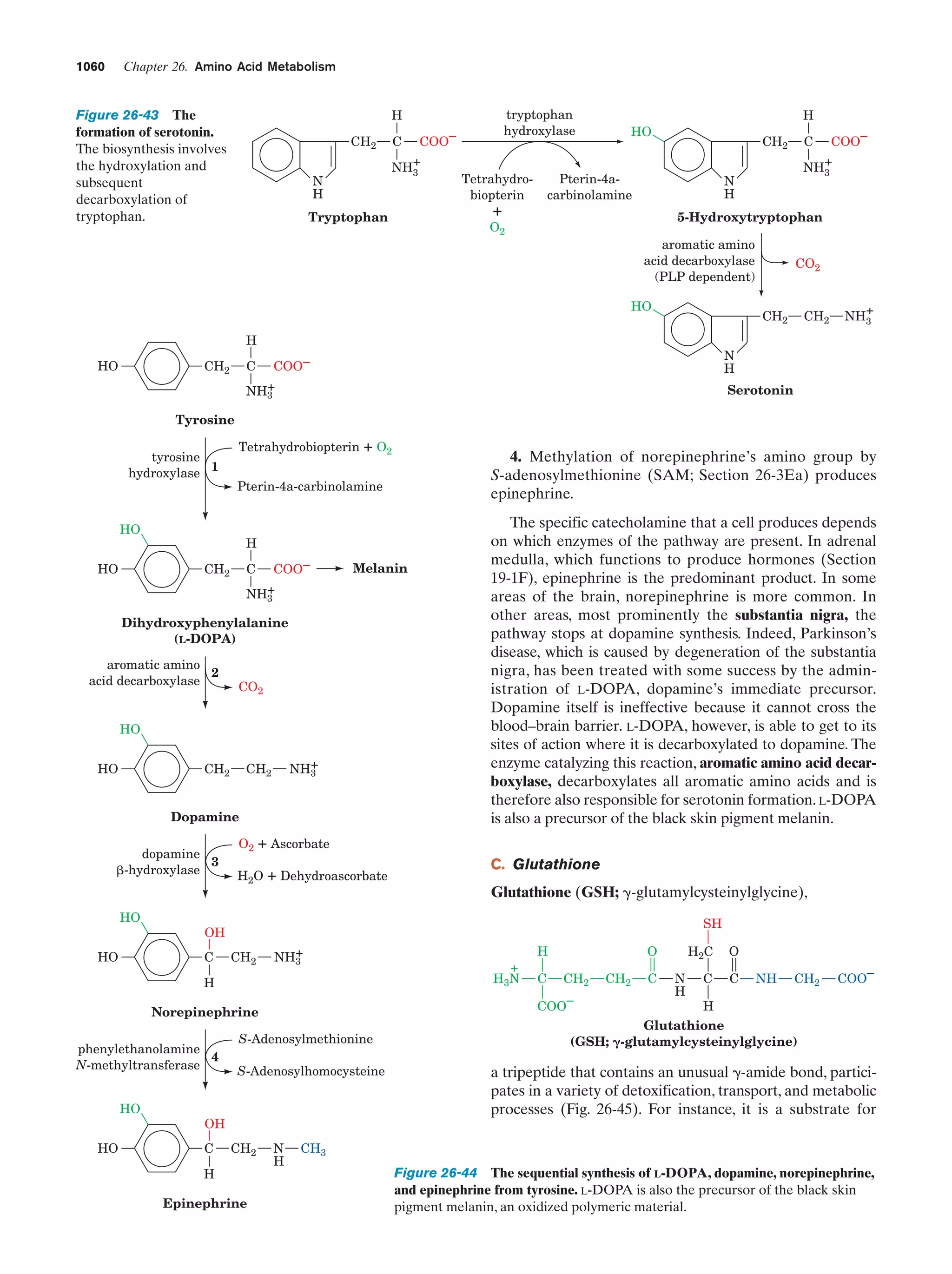 Biochemistry.4th.edition