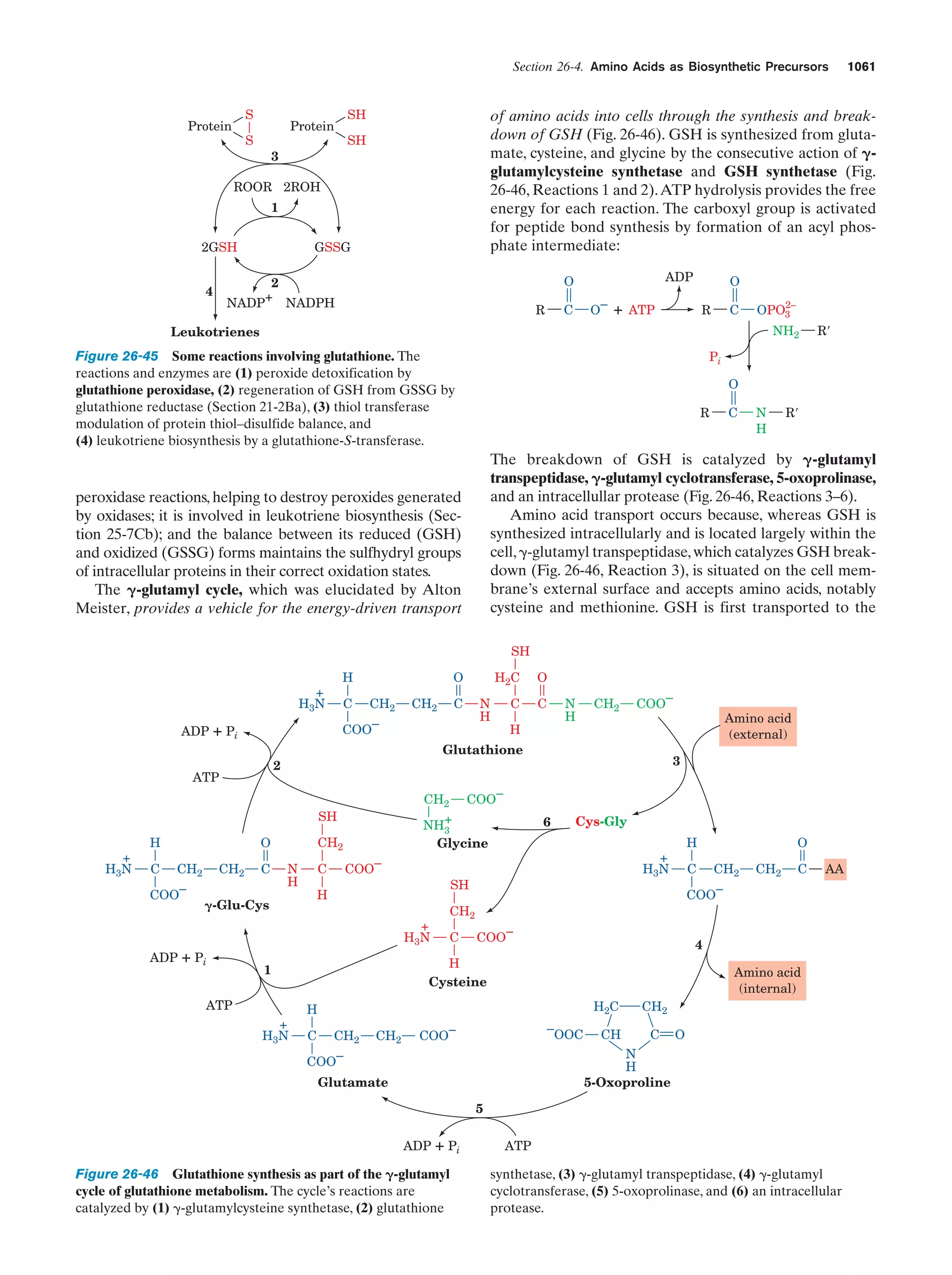 Biochemistry.4th.edition