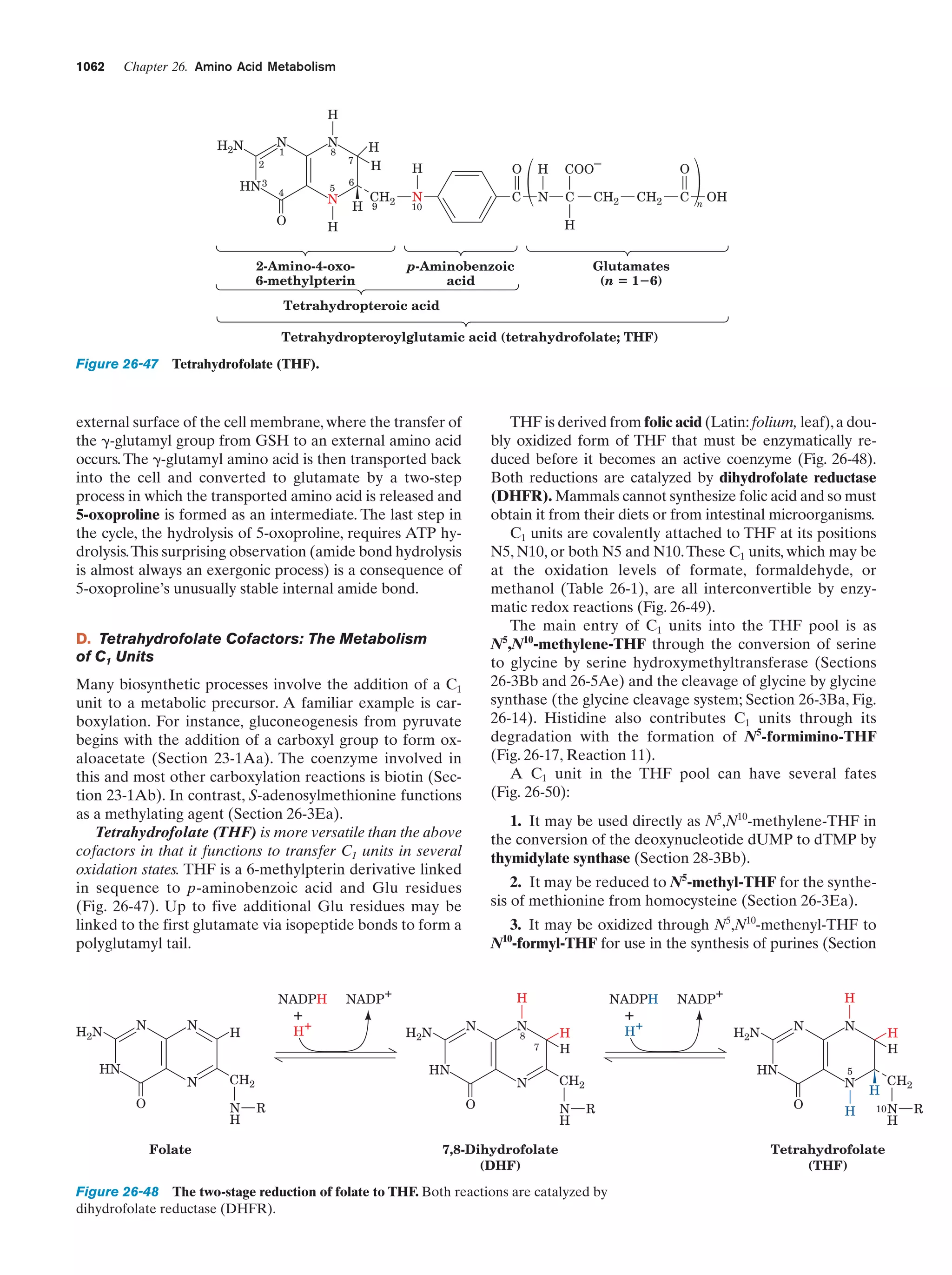 Biochemistry.4th.edition