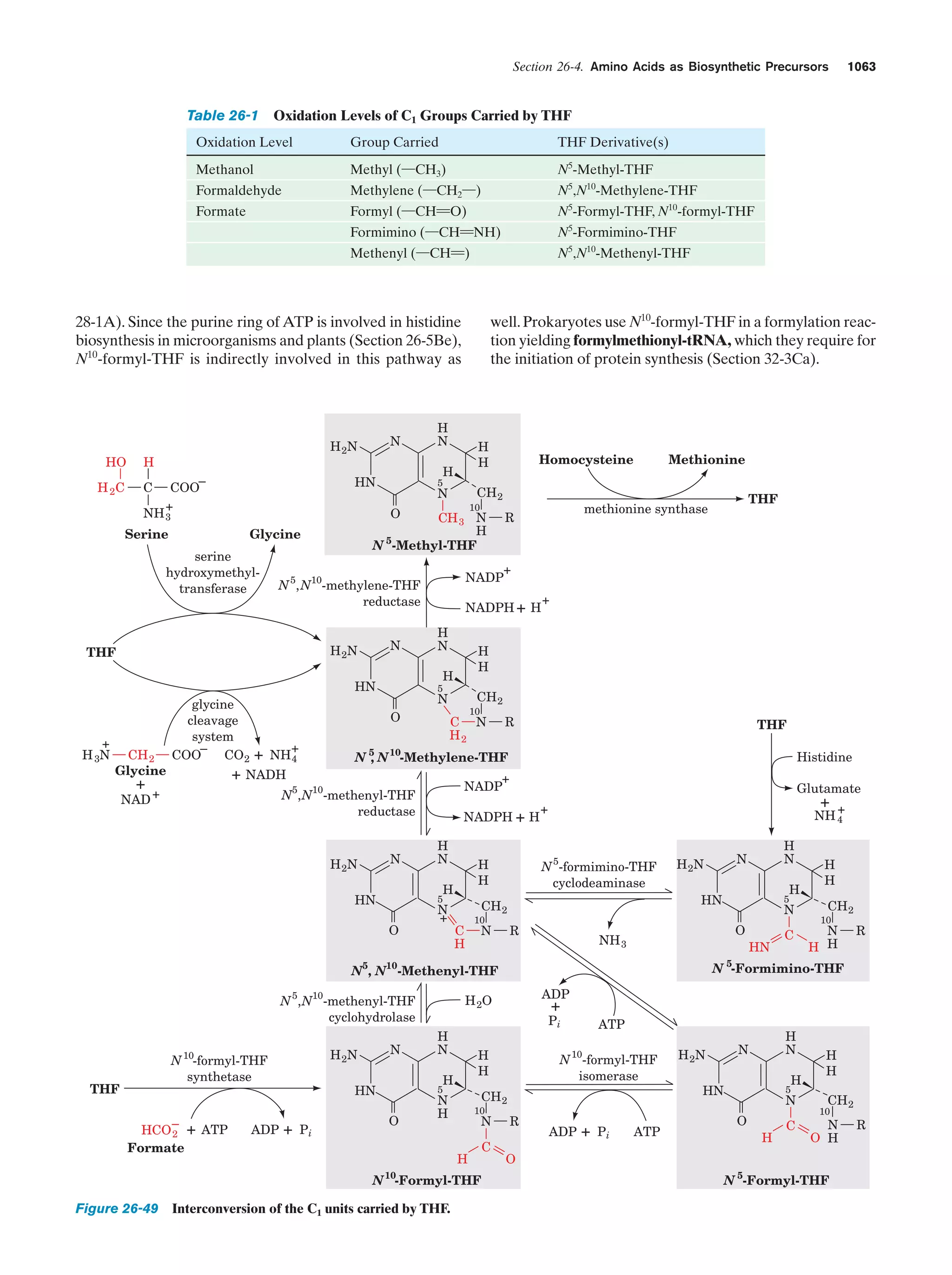Biochemistry.4th.edition